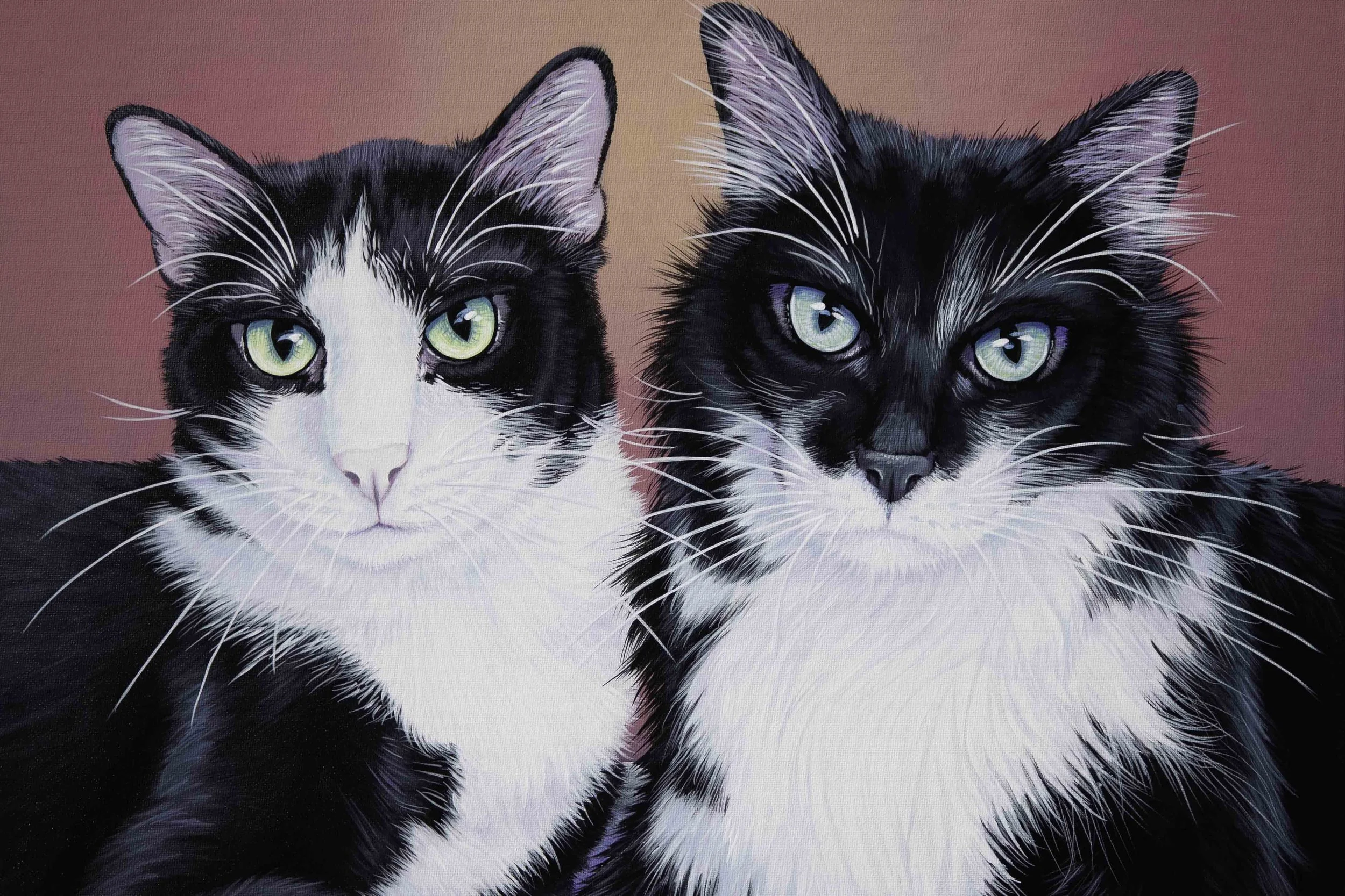 A detailed painting of two black and white cats with piercing blue eyes, set against a soft pink background.