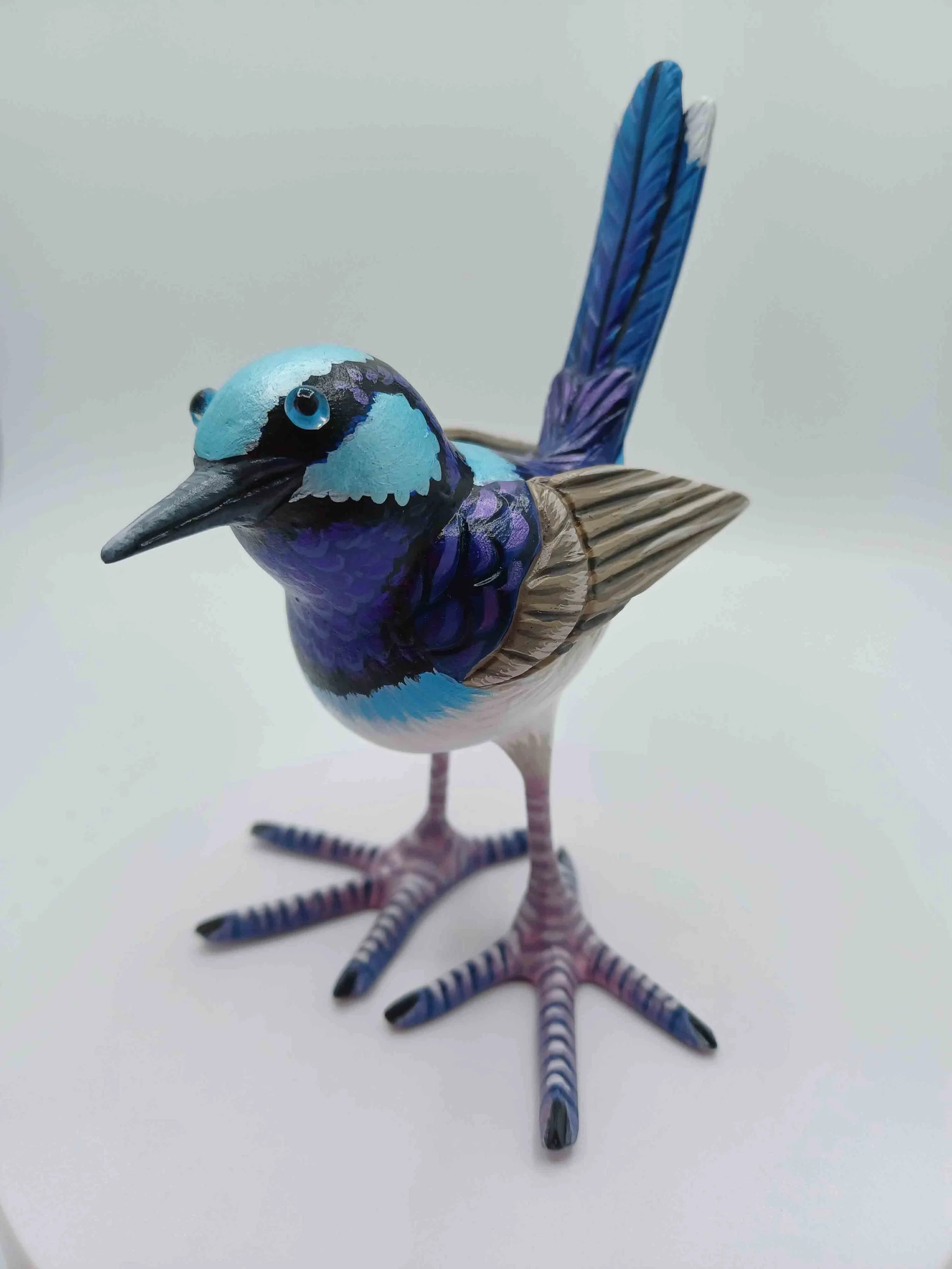  Superb Fairy Wren #55