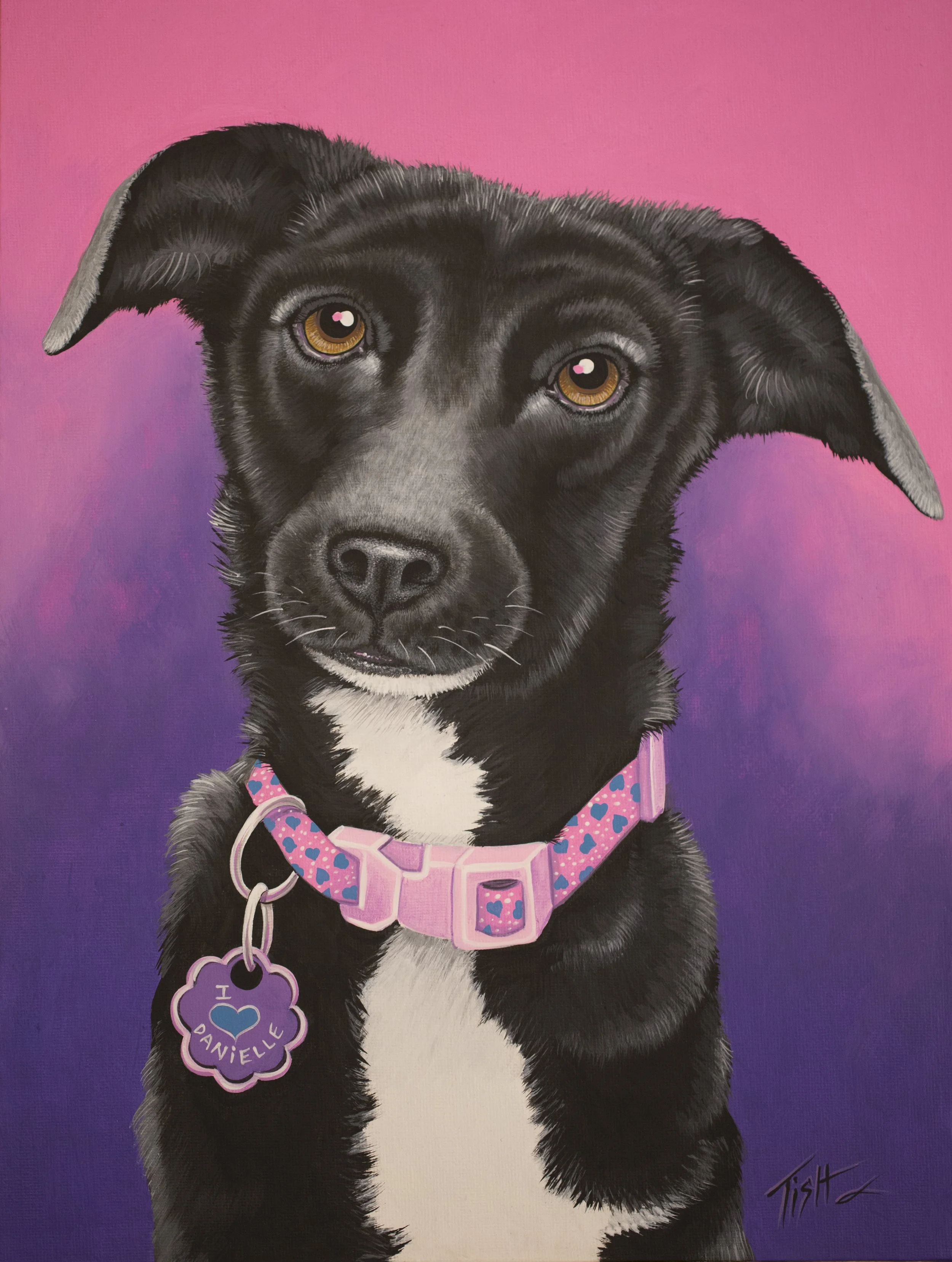 Painting of a black and white dog with a pink collar, on a pink and purple gradient background.