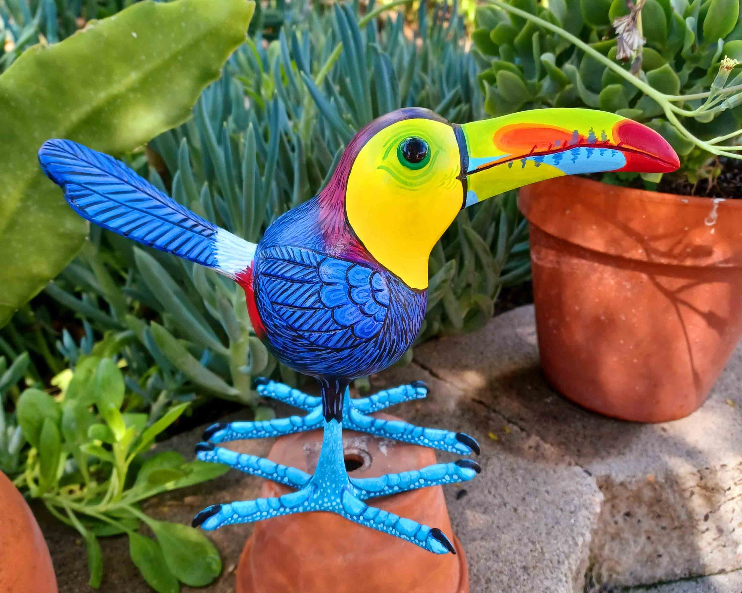 Toucan #10