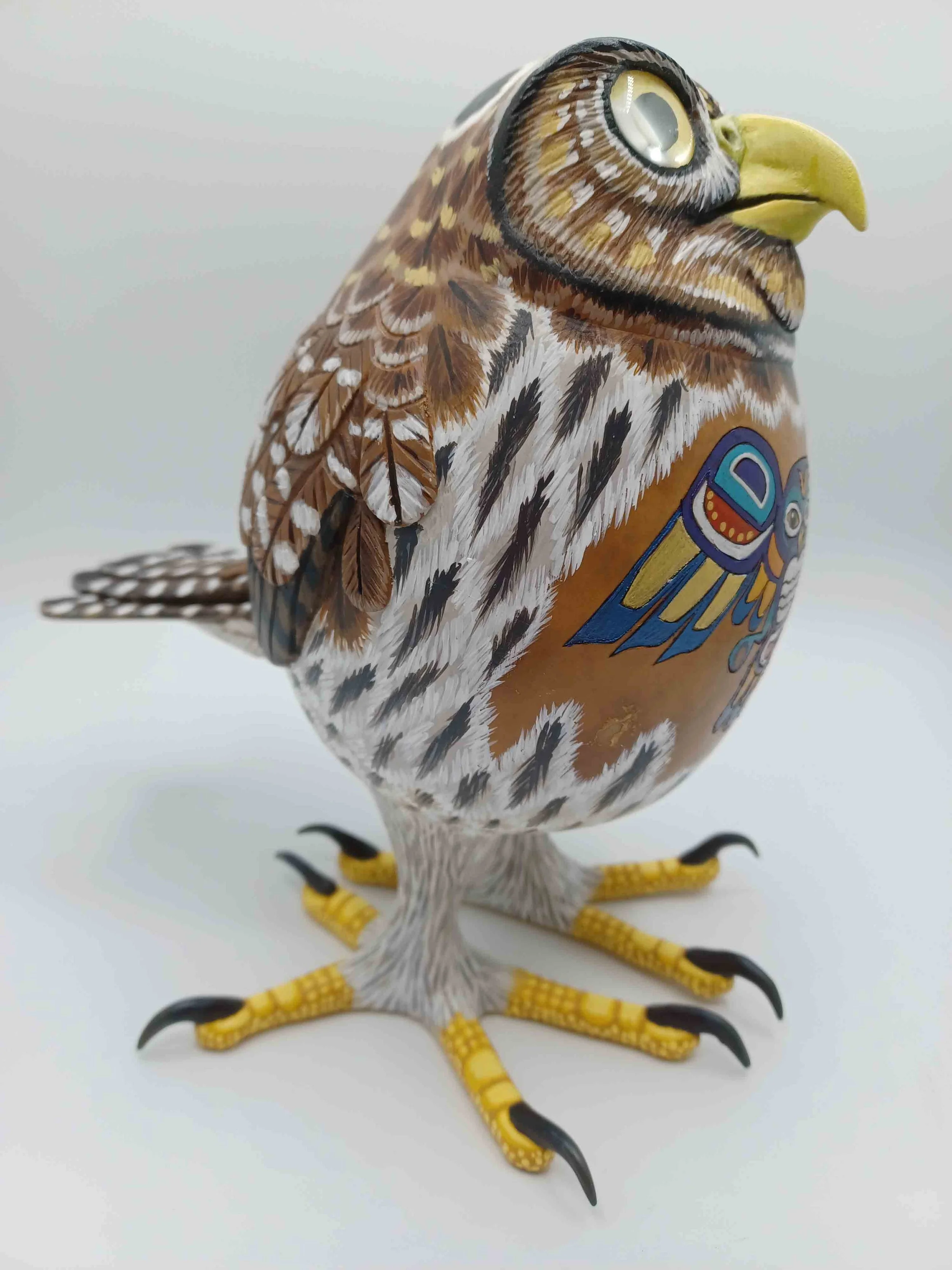 Northern Pygmy Owl #67