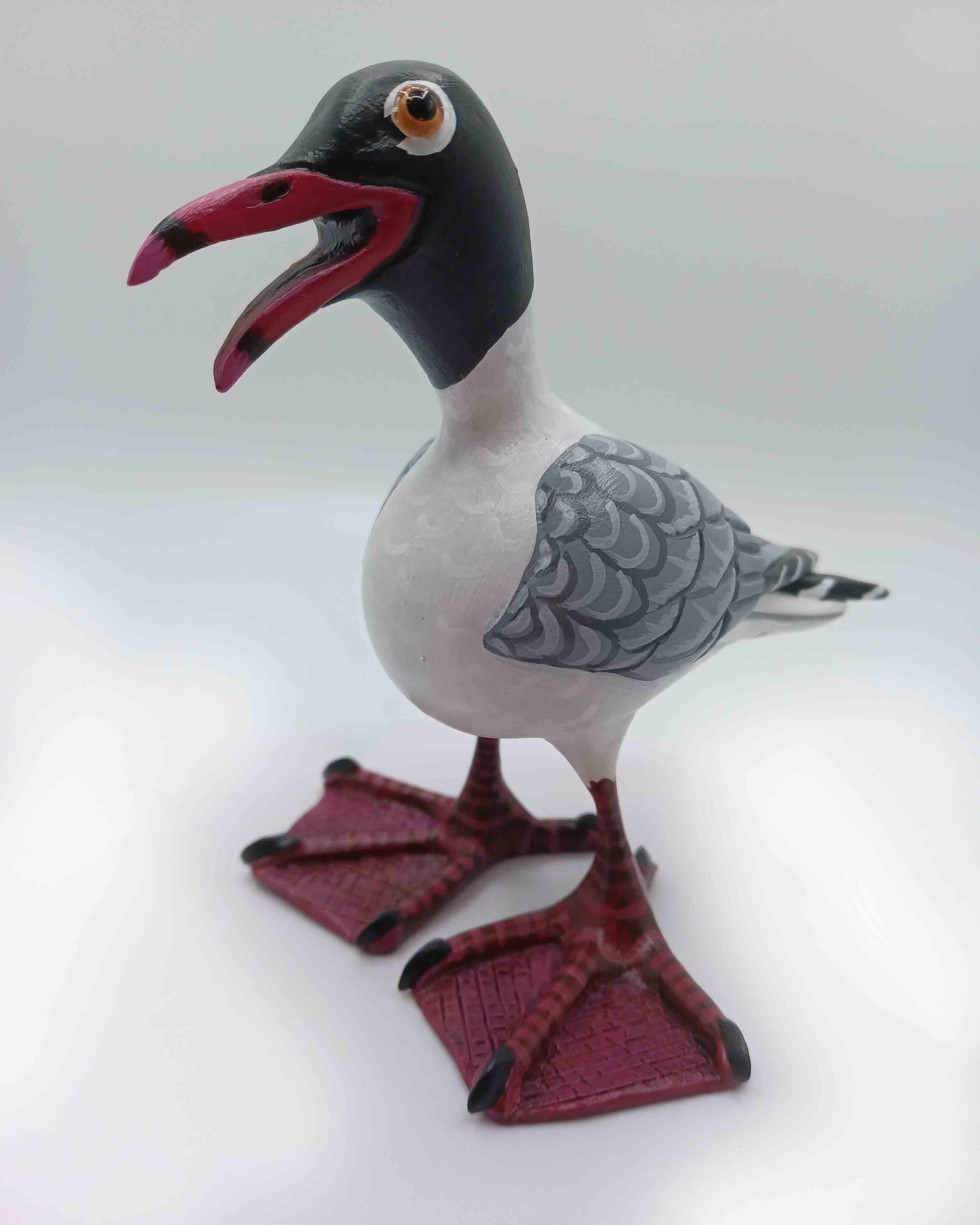 Laughing Gull #56