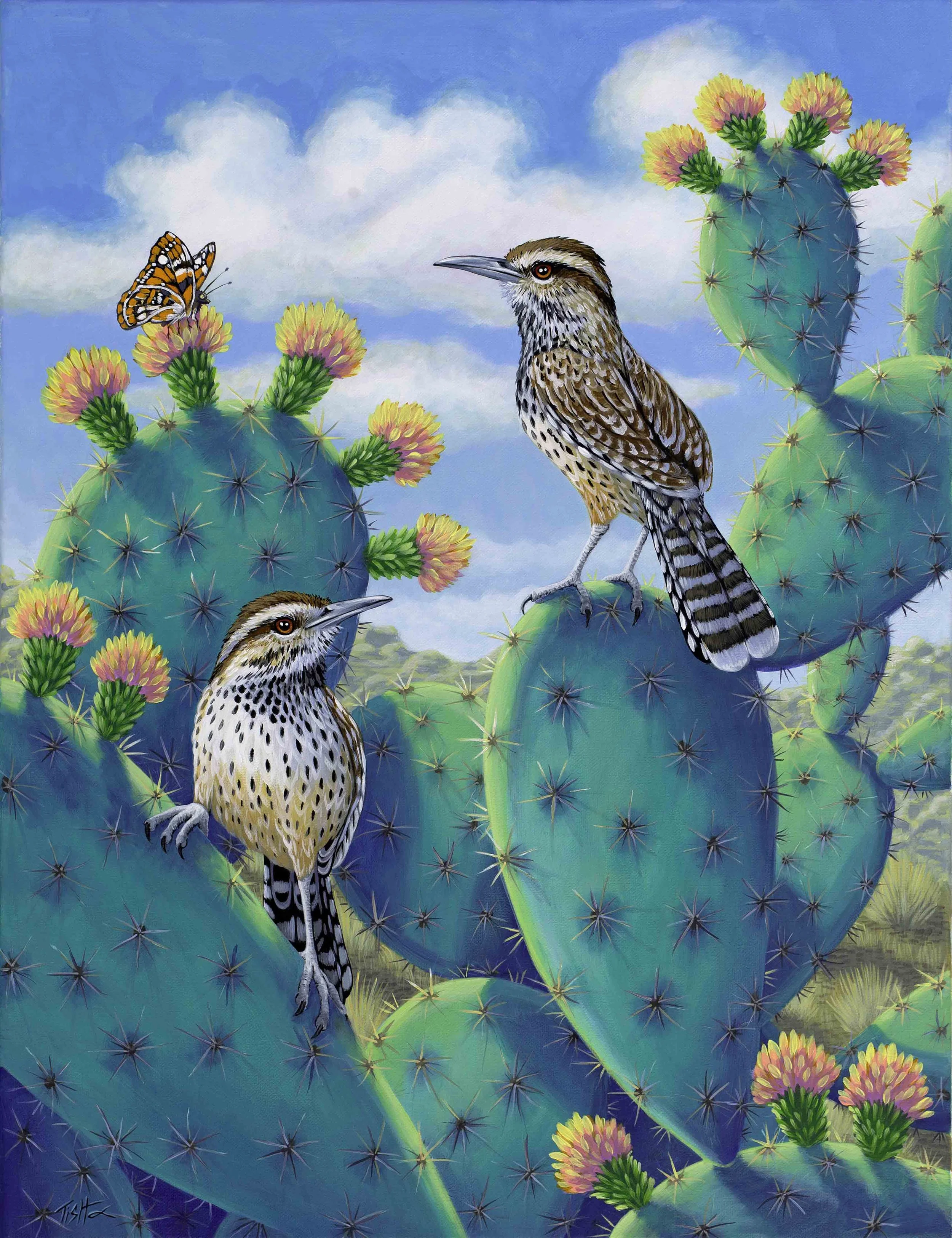 Cactus Wrens................  SOLD