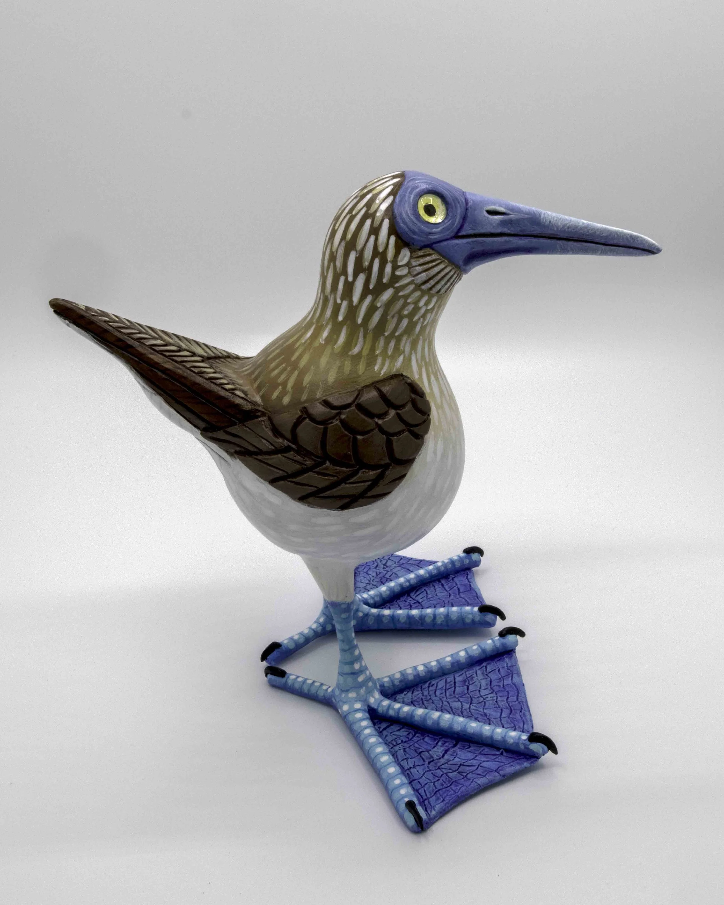 Blue Footed Boobie...................  SOLD