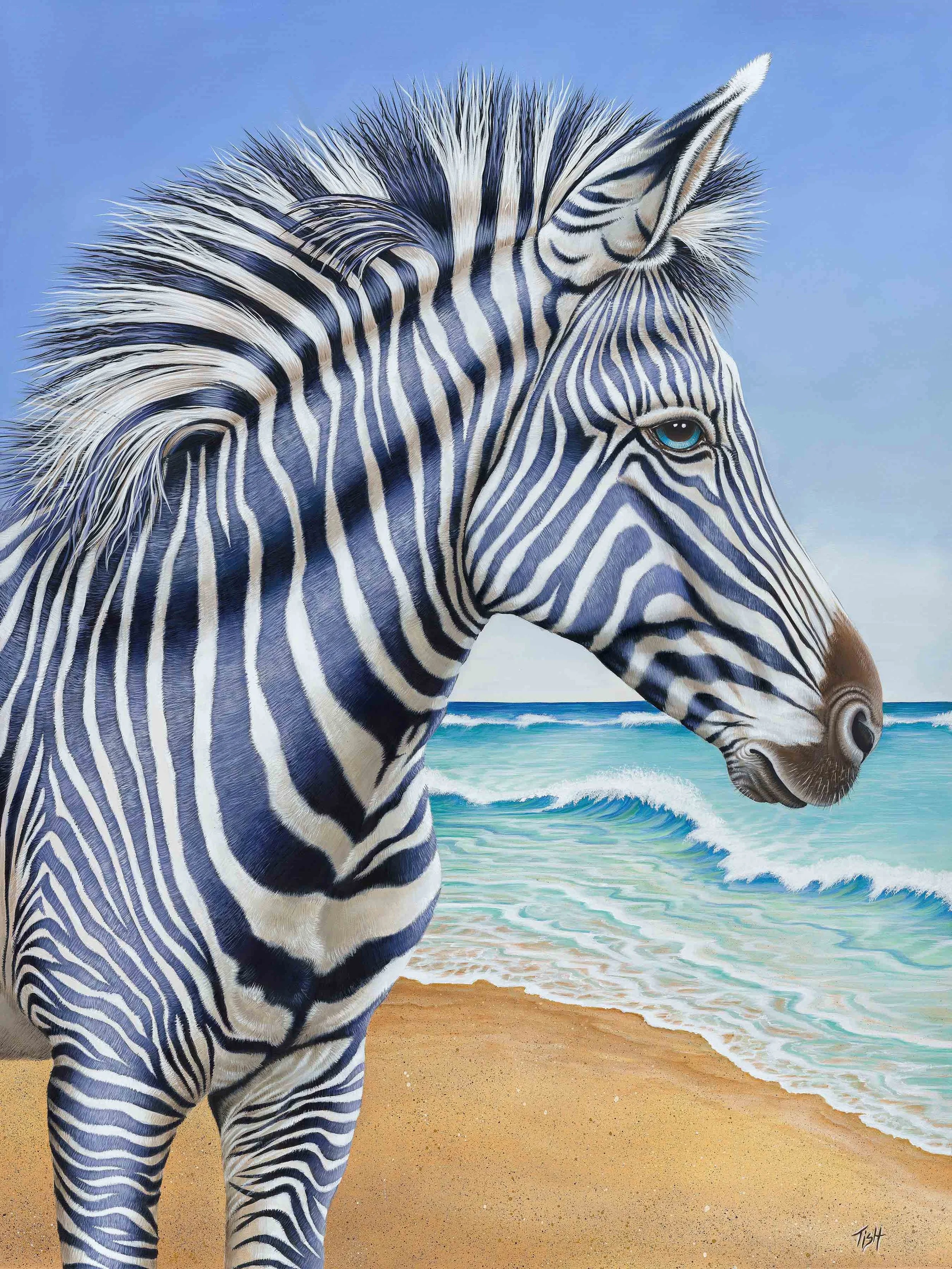 Zebra by the Sea