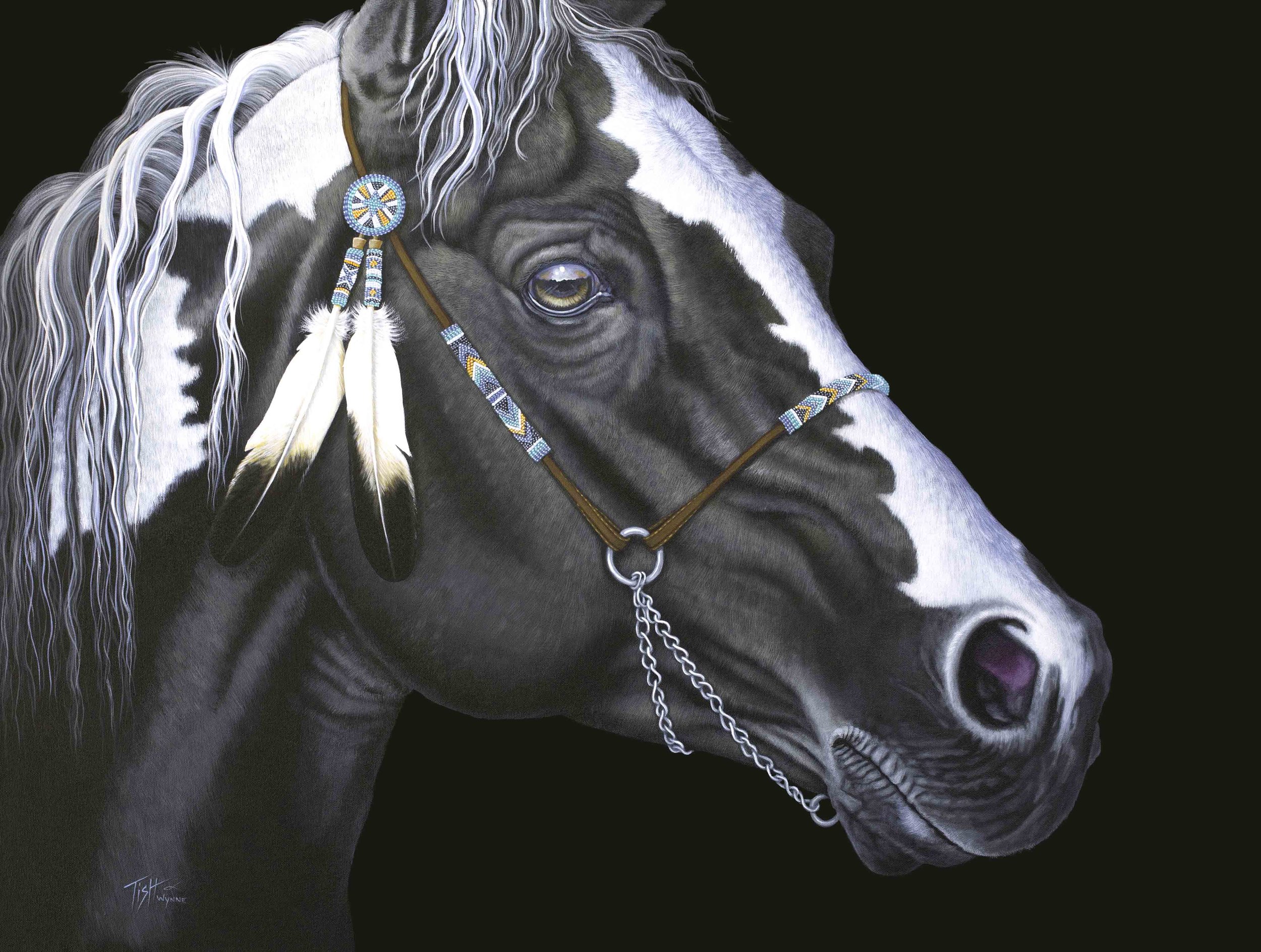 Black Paint Horse...............  SOLD