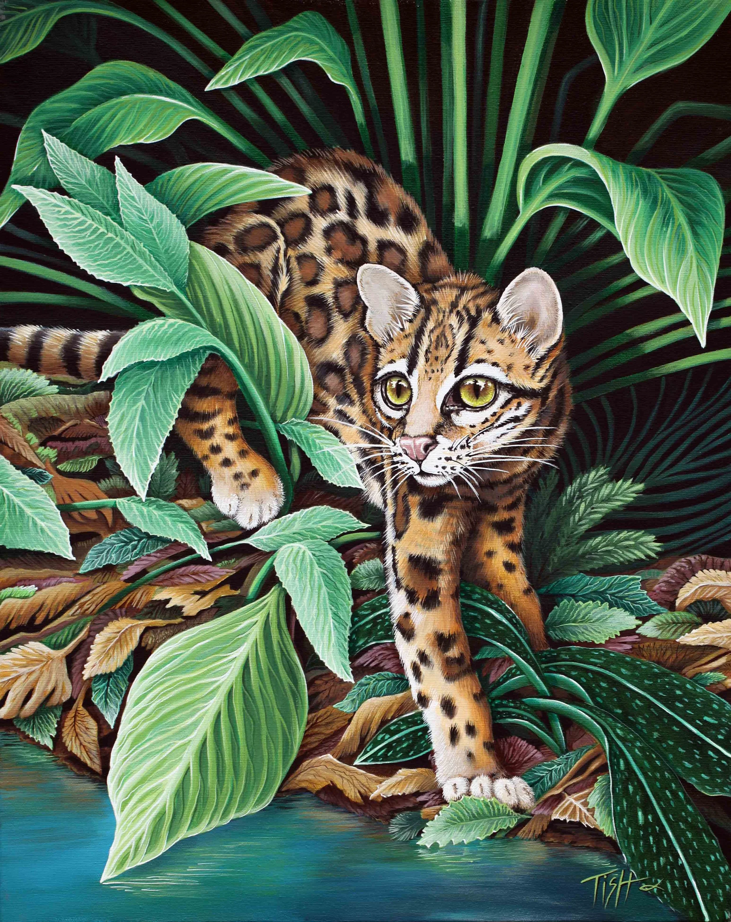 Ocelot