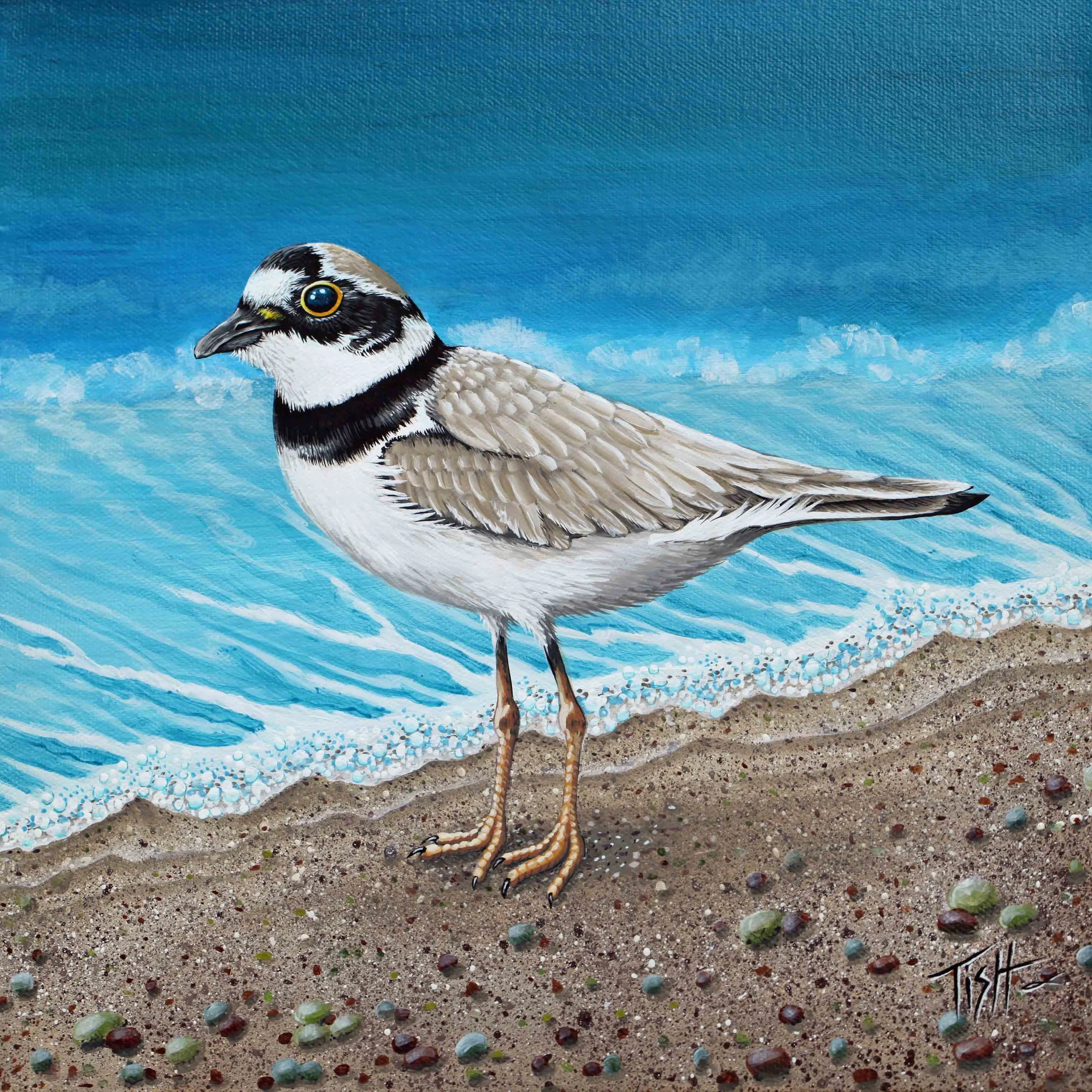 Plover...................  SOLD