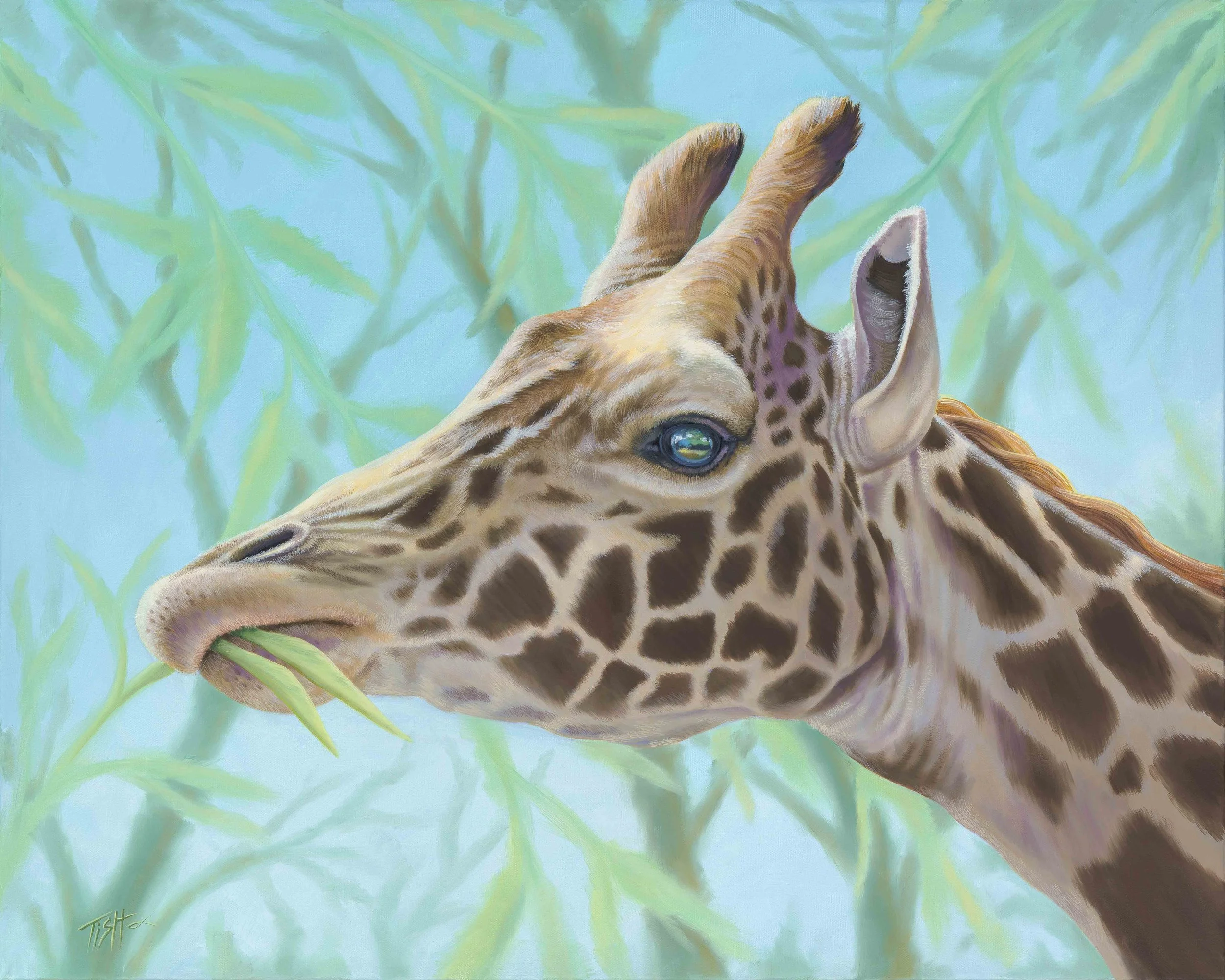 Giraffe Head Portrait