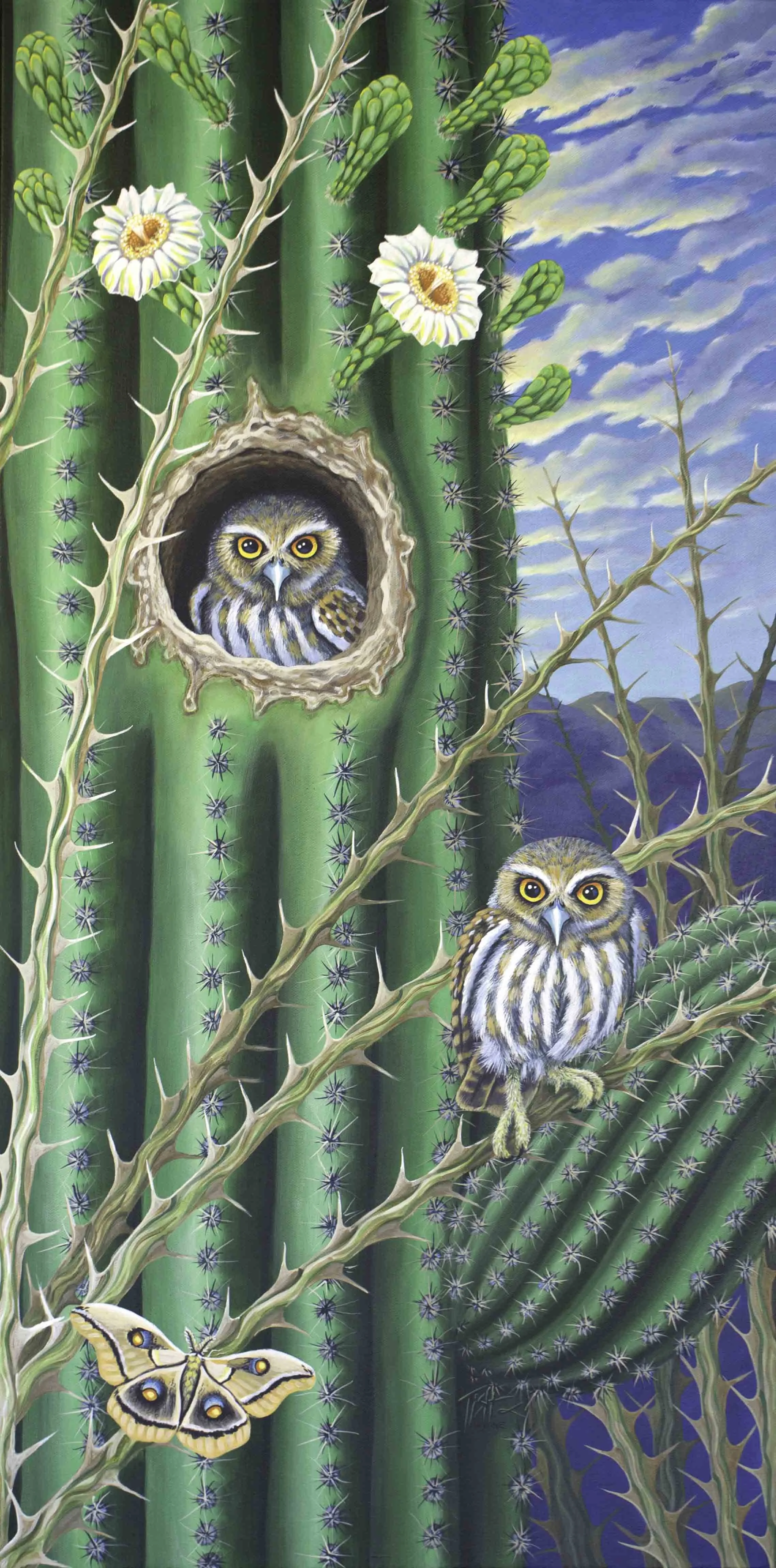 Desert Elf Owls................  SOLD