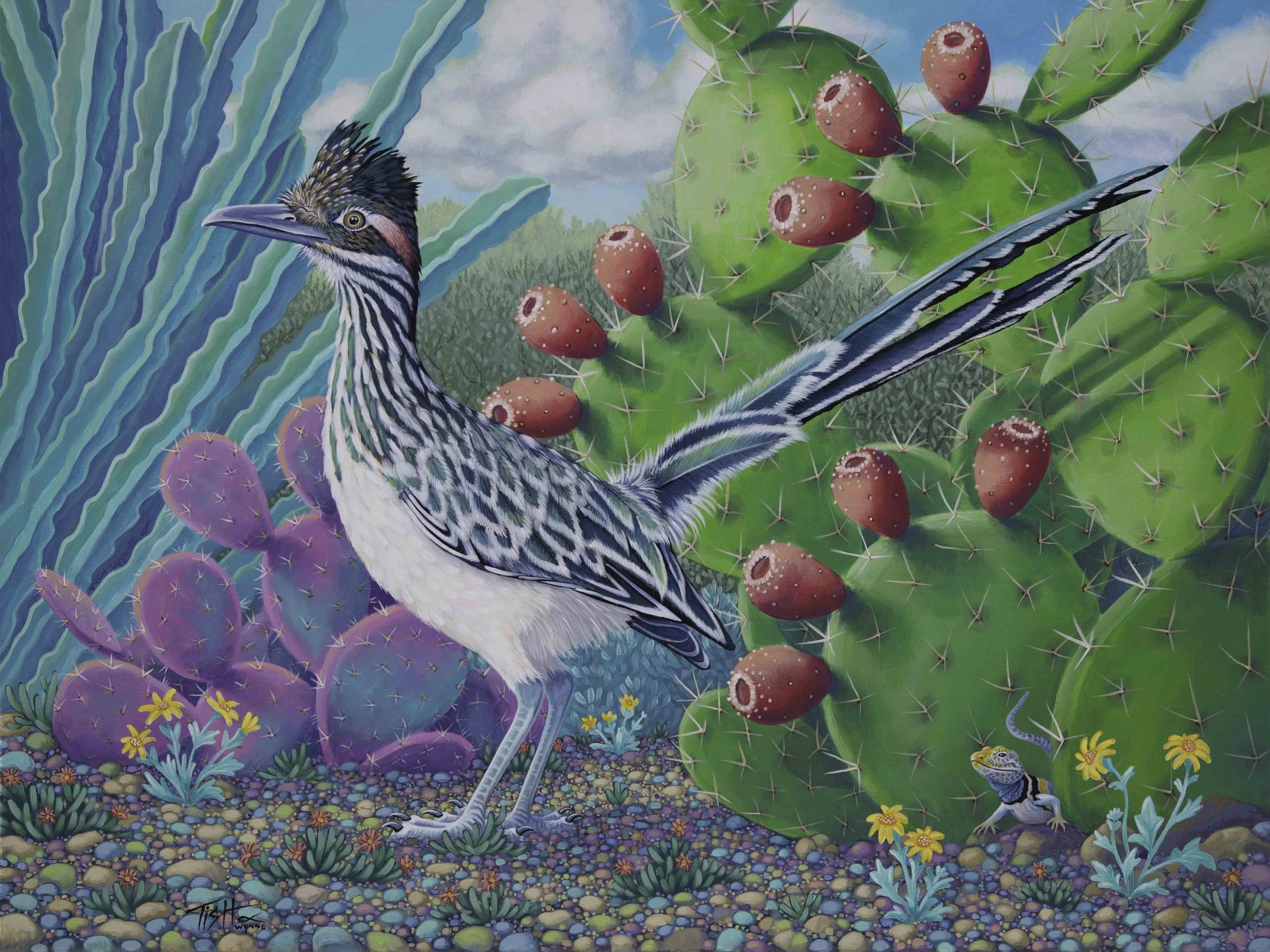 Roadrunner in the garden