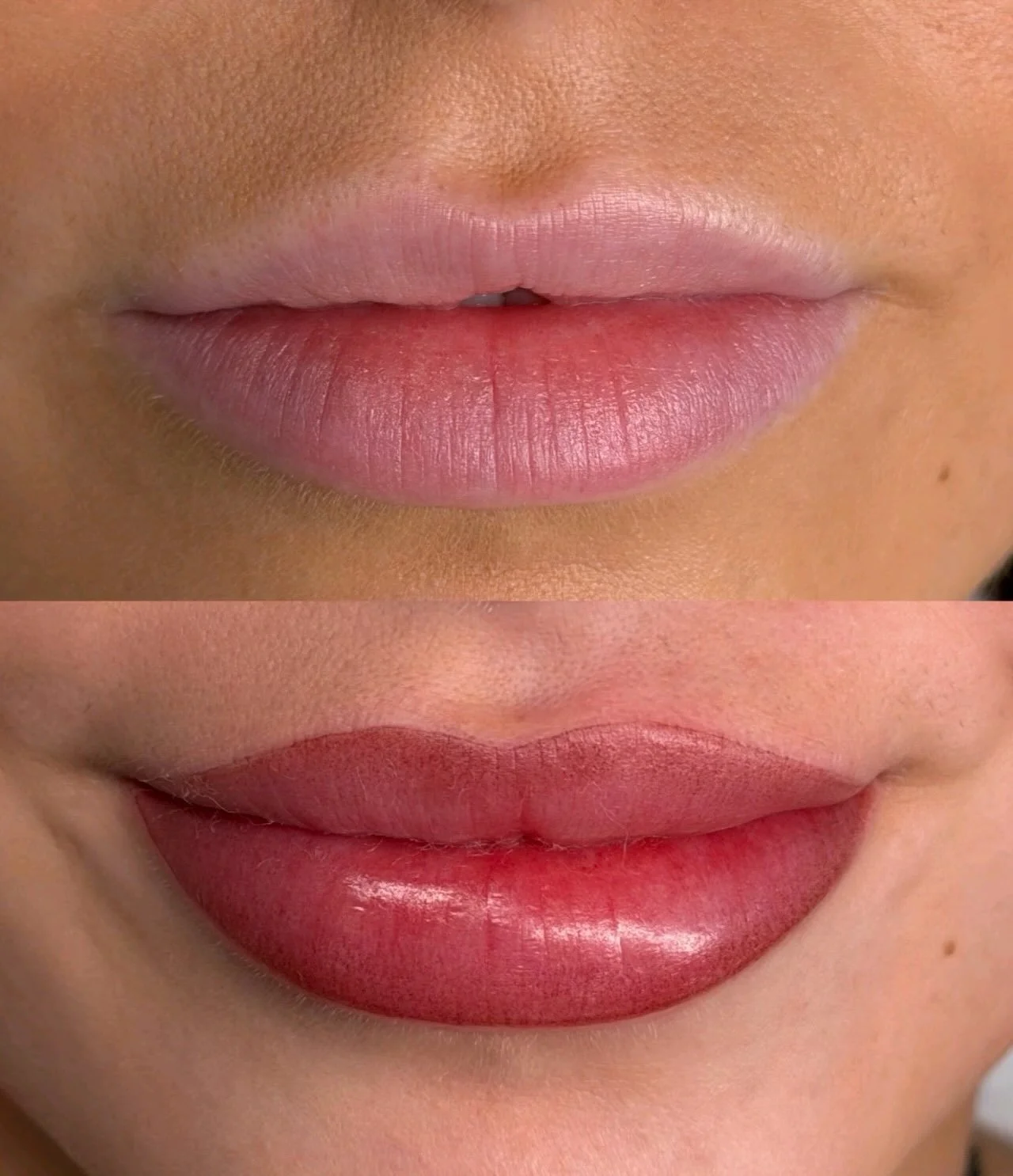 Which shade is your favourite? 1,2,3,4,5 or 6?? #lips#liptattoo#lipblushtraining#lipblusheeucation