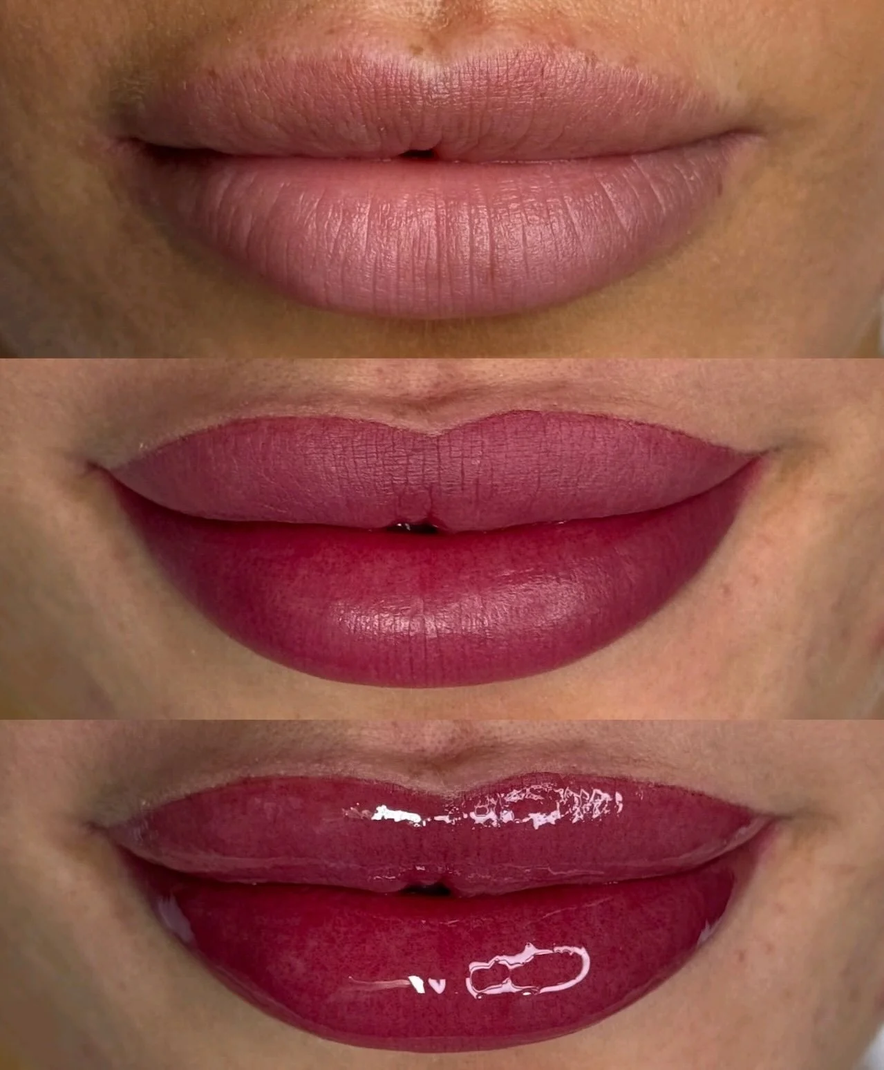 A set I&rsquo;ll forever be obsessed with! Deep purple cherry 🍒 Gloss or no gloss?? #liptattoo#lipblush#lipblushing#lipblushtraining