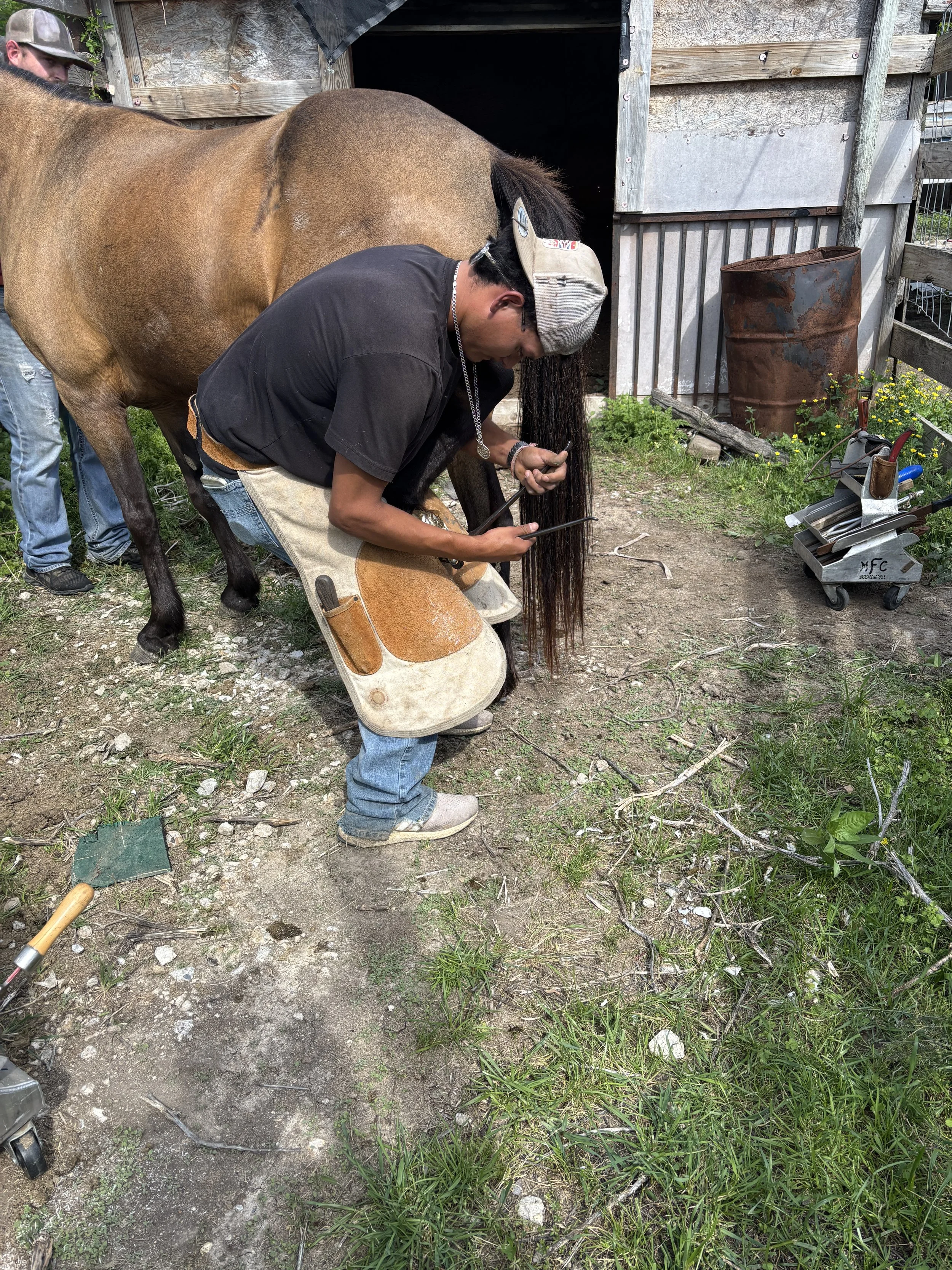 Advisory Board Member