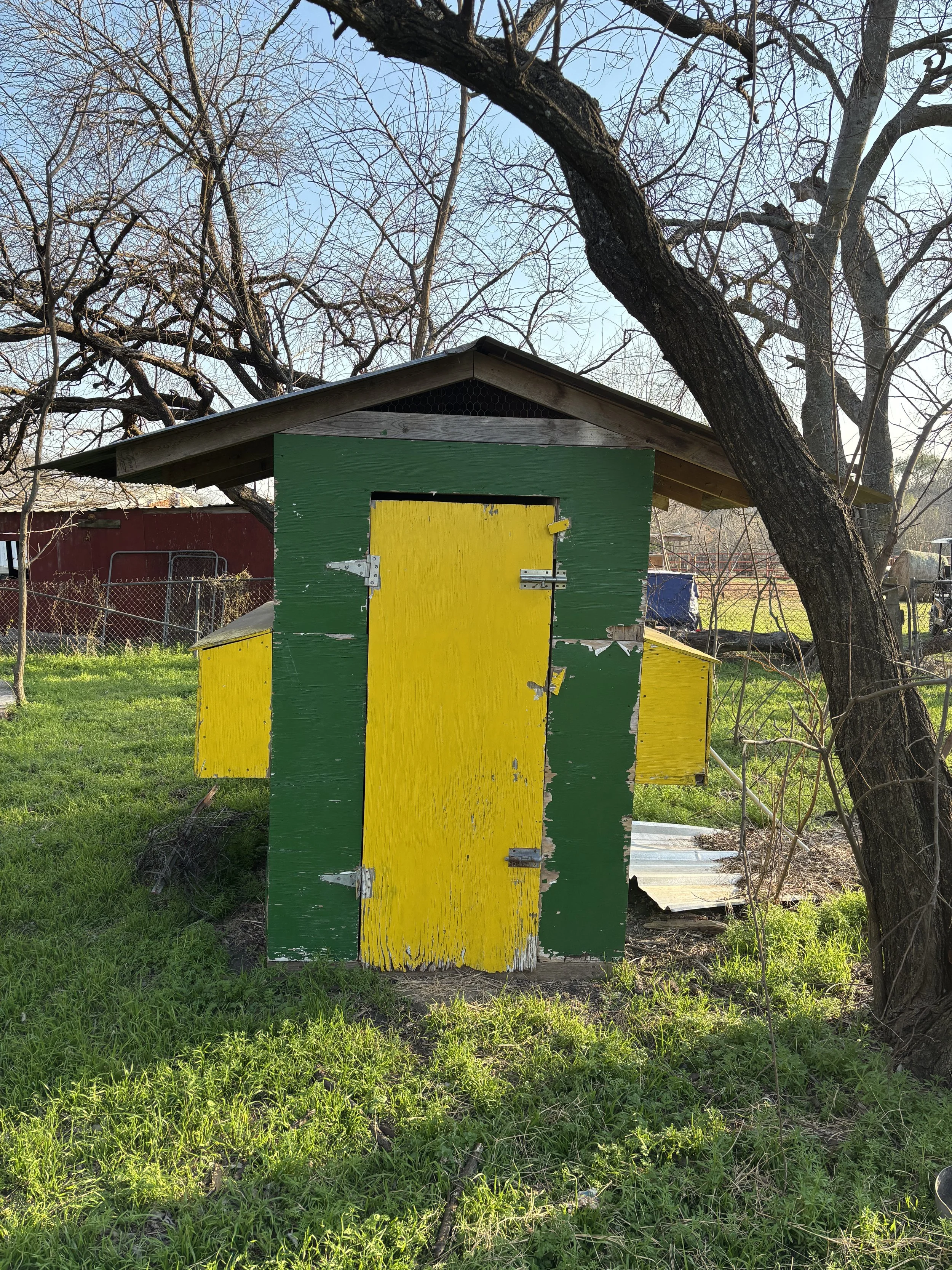 Chicken Coop Photo