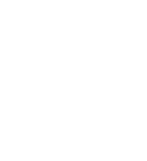 Ironlight Books