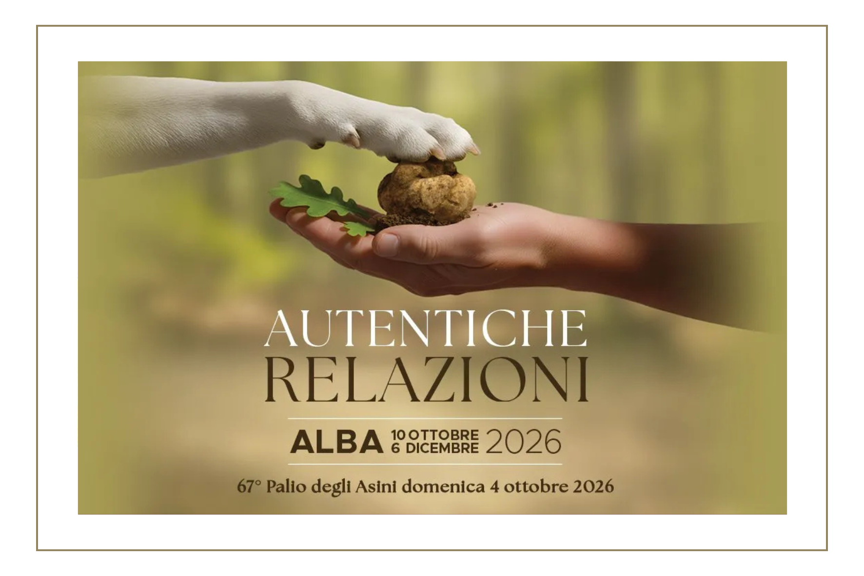 Fiera Internazionale del Tartufo Bianco d’Alba 2026