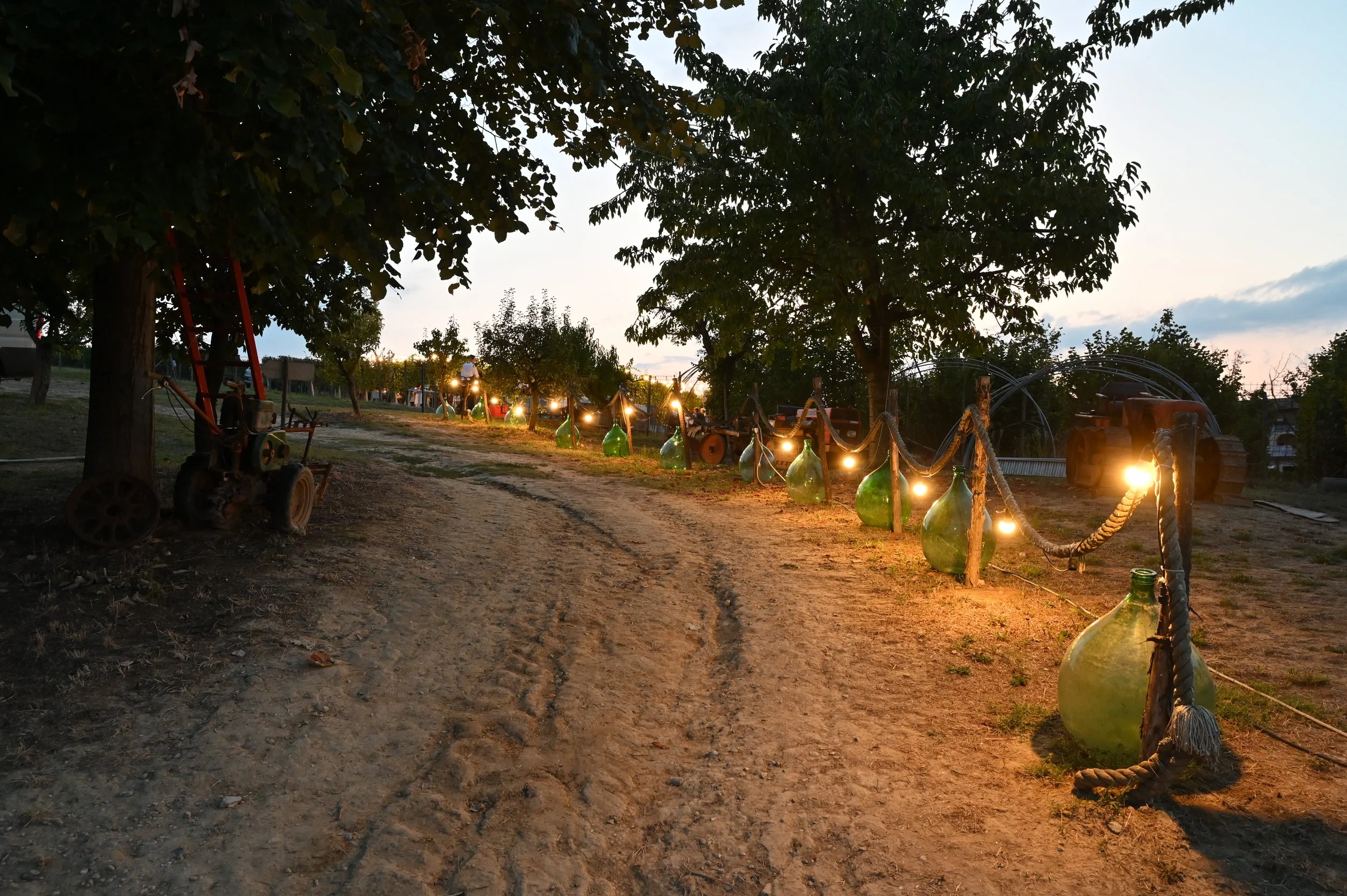 DSC_6335.JPG