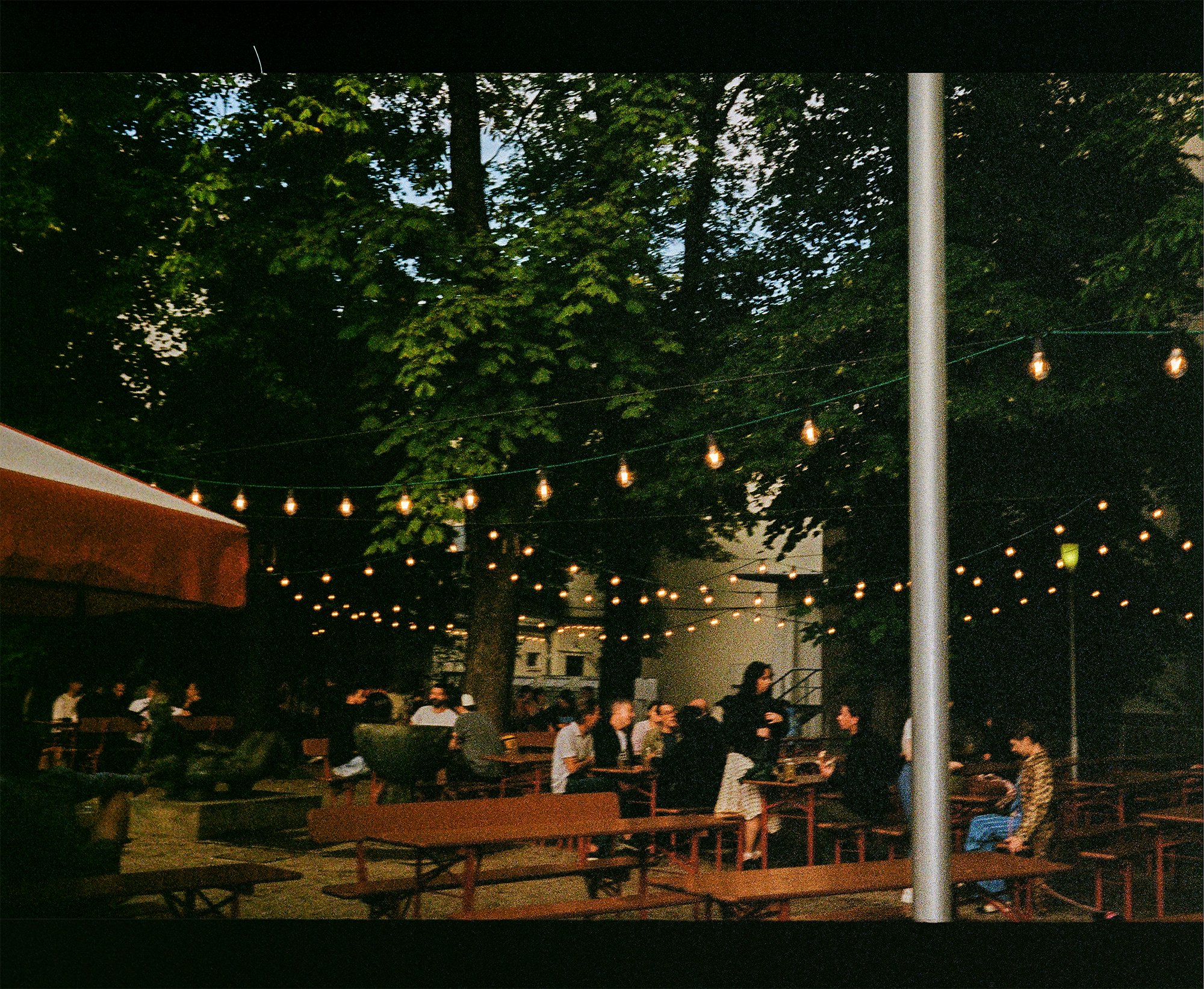 Outdoor evening gathering with people sitting at picnic tables under string lights, with trees and a building in the background.