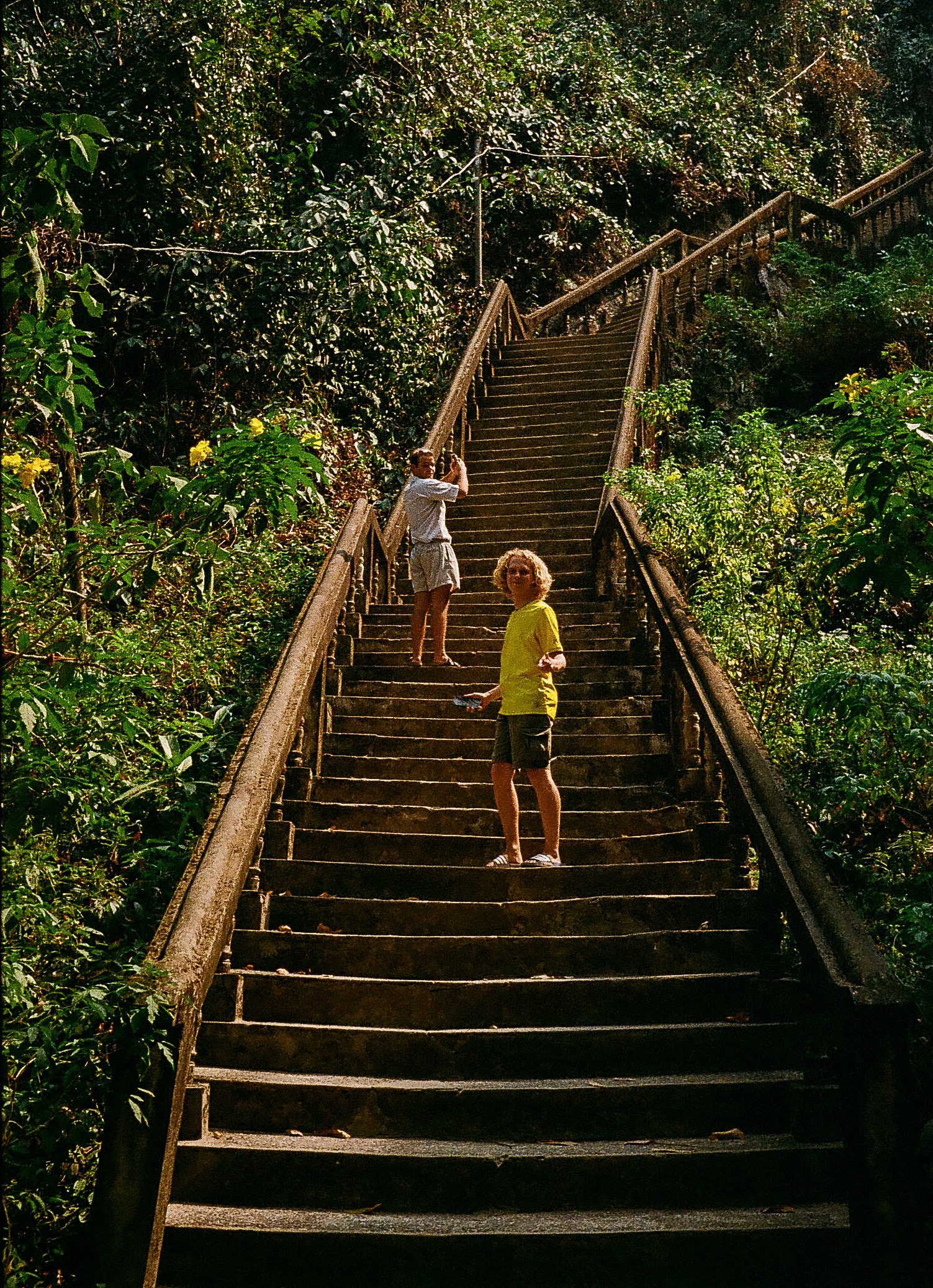 Two children, a boy in a yellow shirt and khaki shorts, and a girl in a white shirt and shorts, standing on wooden stairs in a forest, with greenery on both sides.