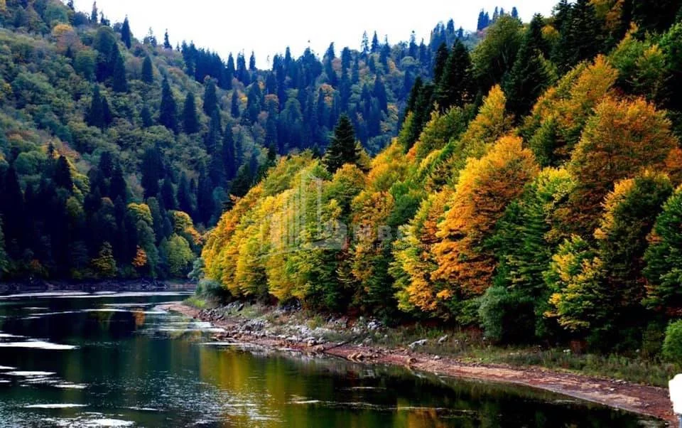 A scenic view of a river flowing through a forested valley with trees showing fall colors, including green, yellow, orange, and red.
