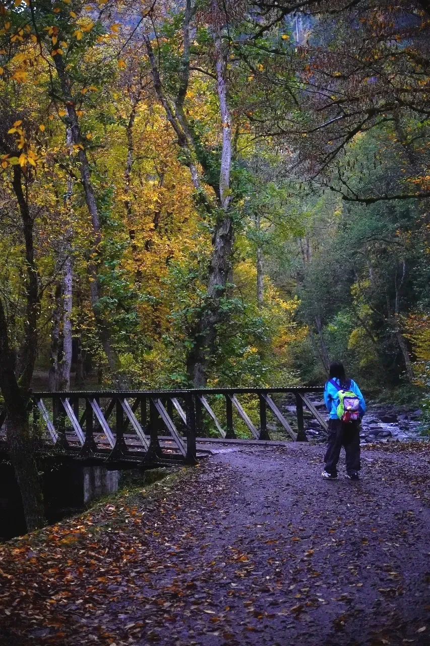 A person with a blue jacket and backpack standing on a trail in a wooded area with autumn-colored trees and a small bridge over a stream.