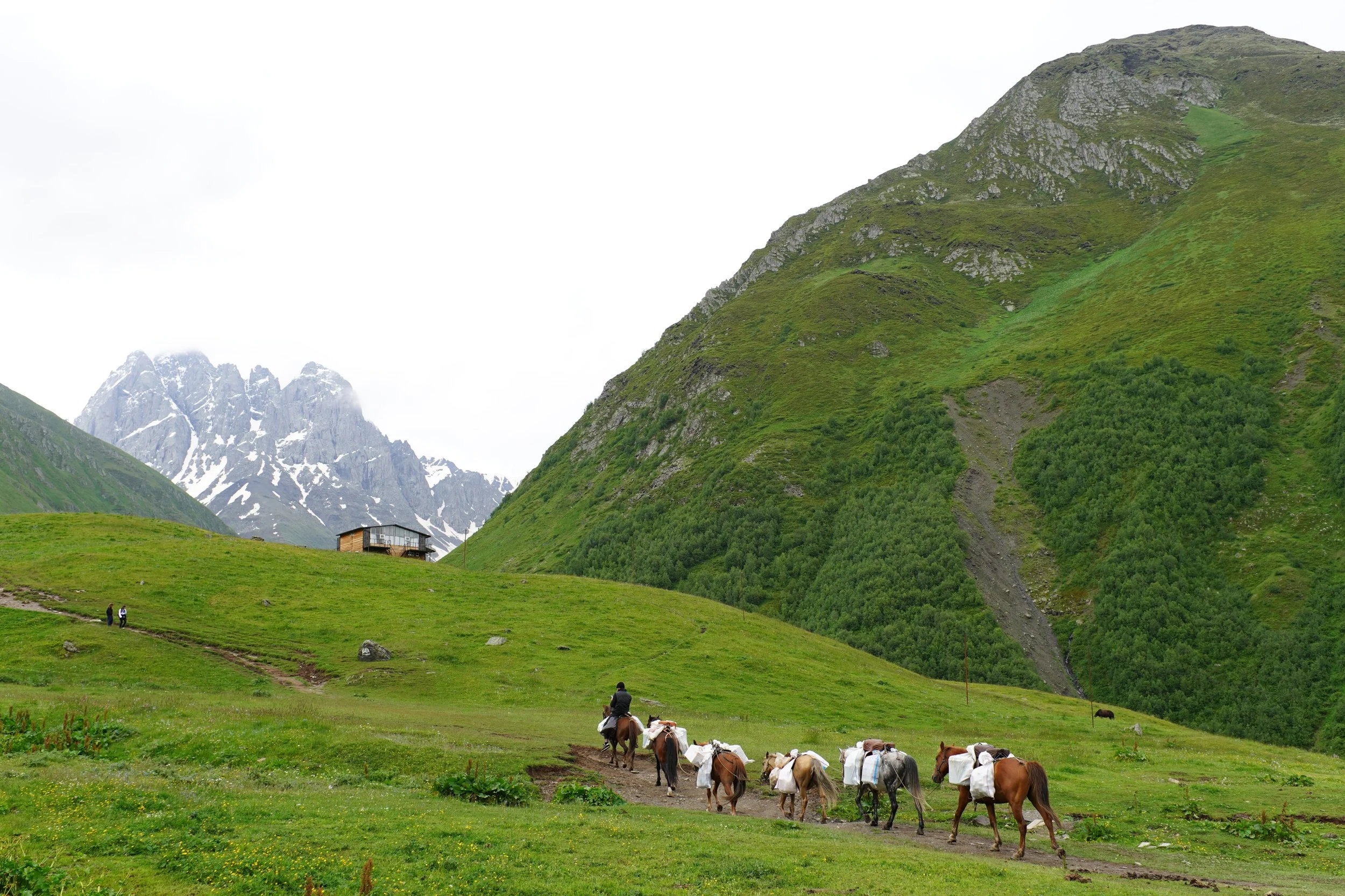 A person riding a horse leading a line of horses carrying packs on a green mountain trail with grassy hills, a small house, and snow-capped mountains in the background.