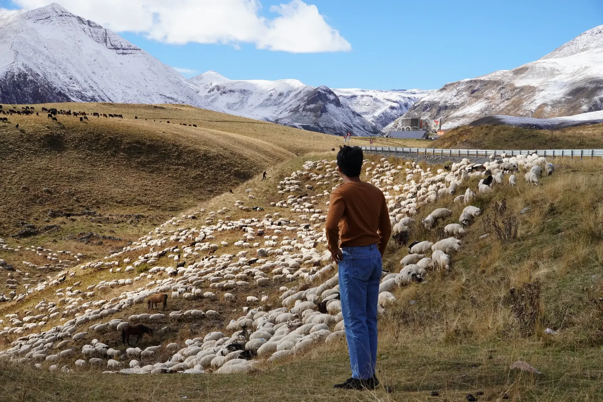 A person stands on a grassy hillside observing a flock of sheep in a scenic mountainous landscape with snow-capped peaks and a clear blue sky.