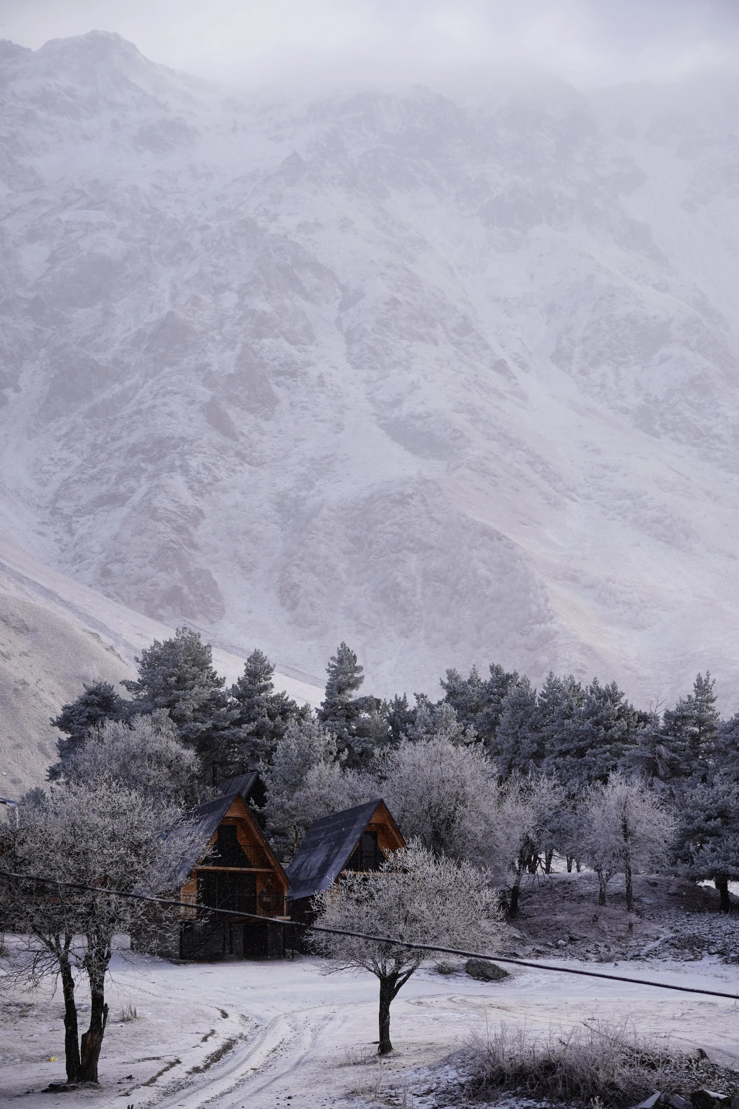 A winter scene featuring snow-covered trees, two wooden houses with dark roofs, and a snow-covered landscape with mountainous terrain in the background.