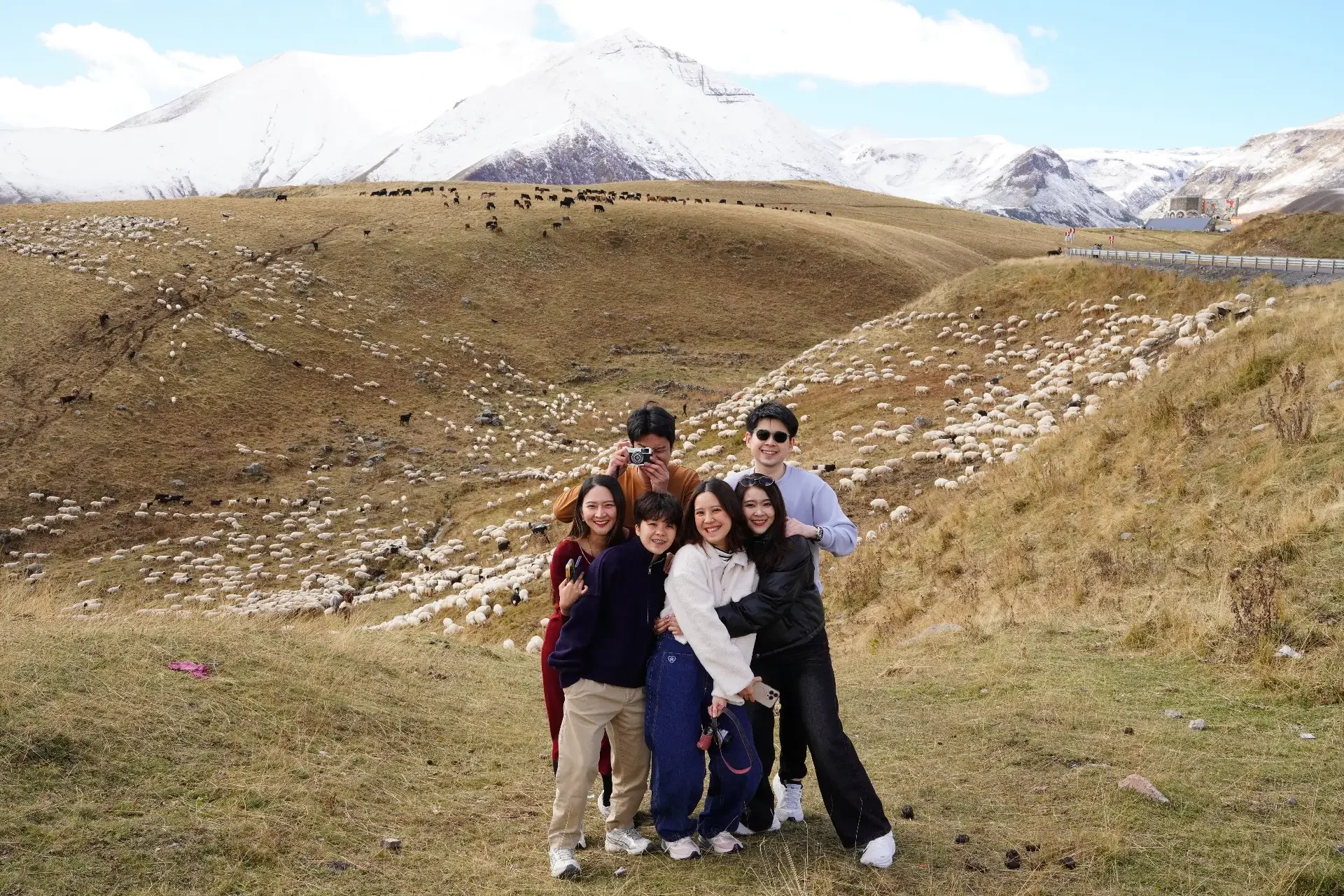 A group of five friends posing for a photo in a mountainous landscape with a large herd of sheep and cows on the rolling hills behind them.