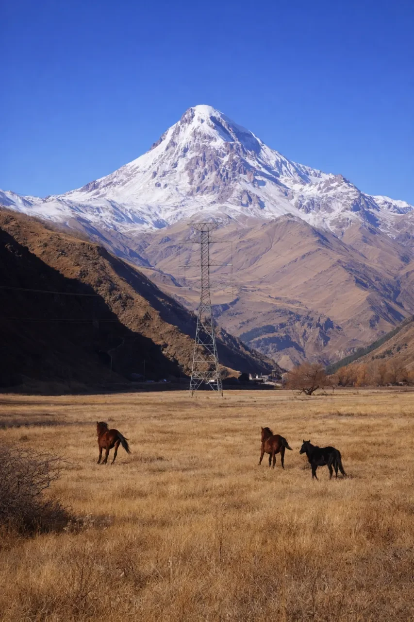 Snow-capped mountain towering over a flat grassy field with three horses and a power line in the foreground.
