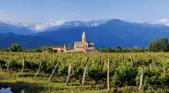 Vineyard with rows of grapevines, a church with a tall bell tower in the distance, and mountain ranges under a partly cloudy sky.