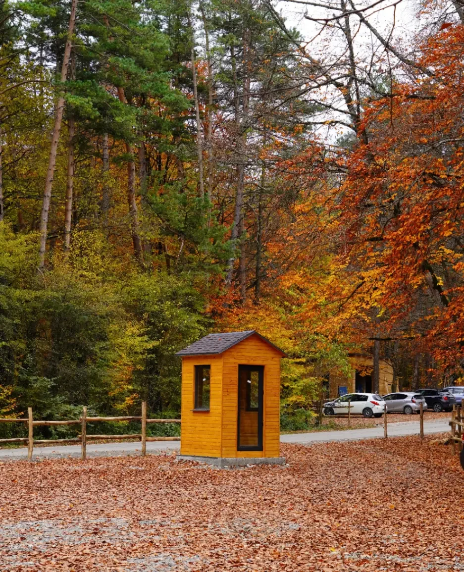 A small wooden shed with a black shingled roof, situated in an area with fallen autumn leaves and surrounded by colorful orange, red, and yellow trees. There is a wooden fence, a gravel path, and parked cars in the background.