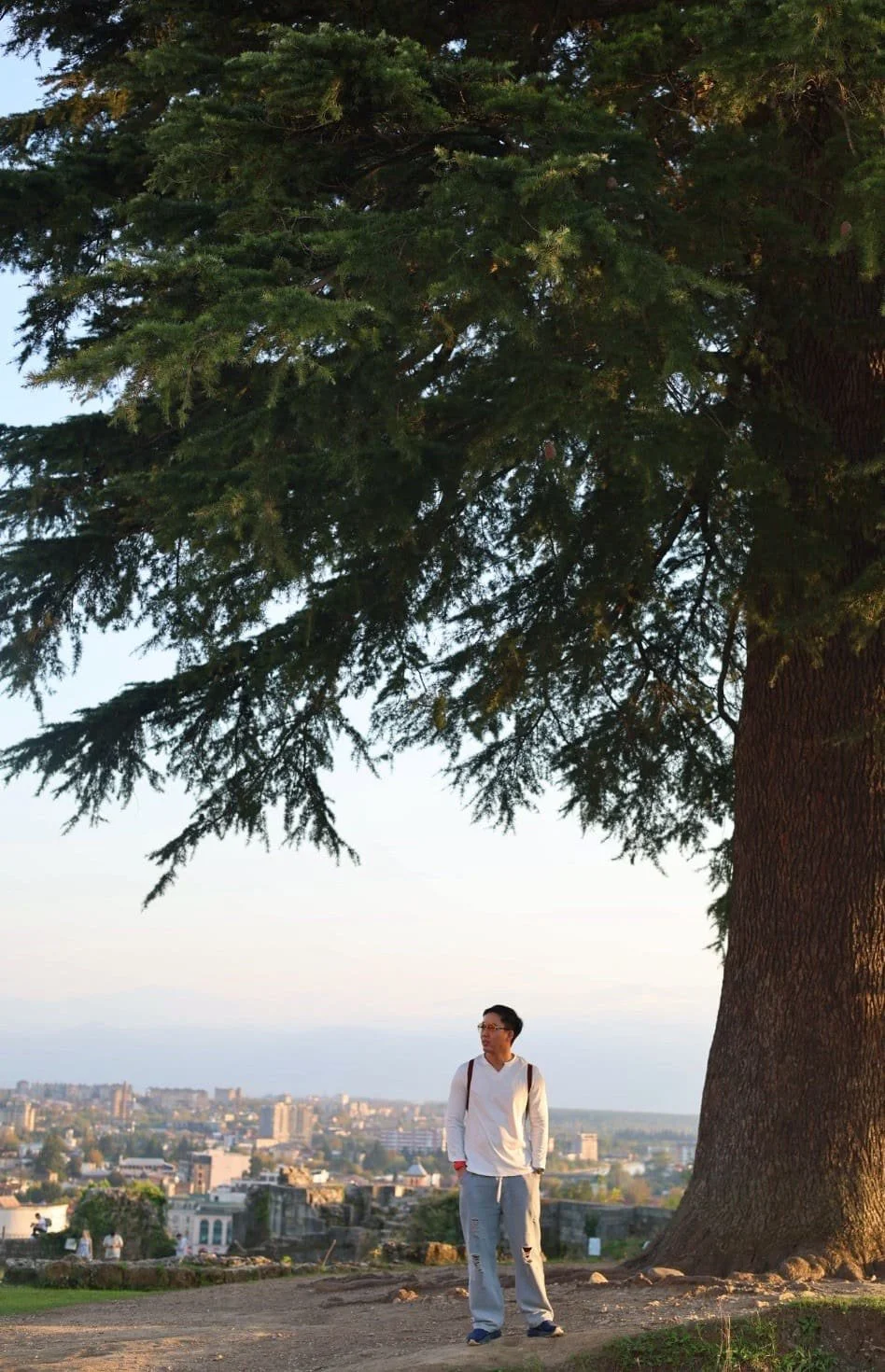 A young man stands near a large tree, overlooking a cityscape during sunset.