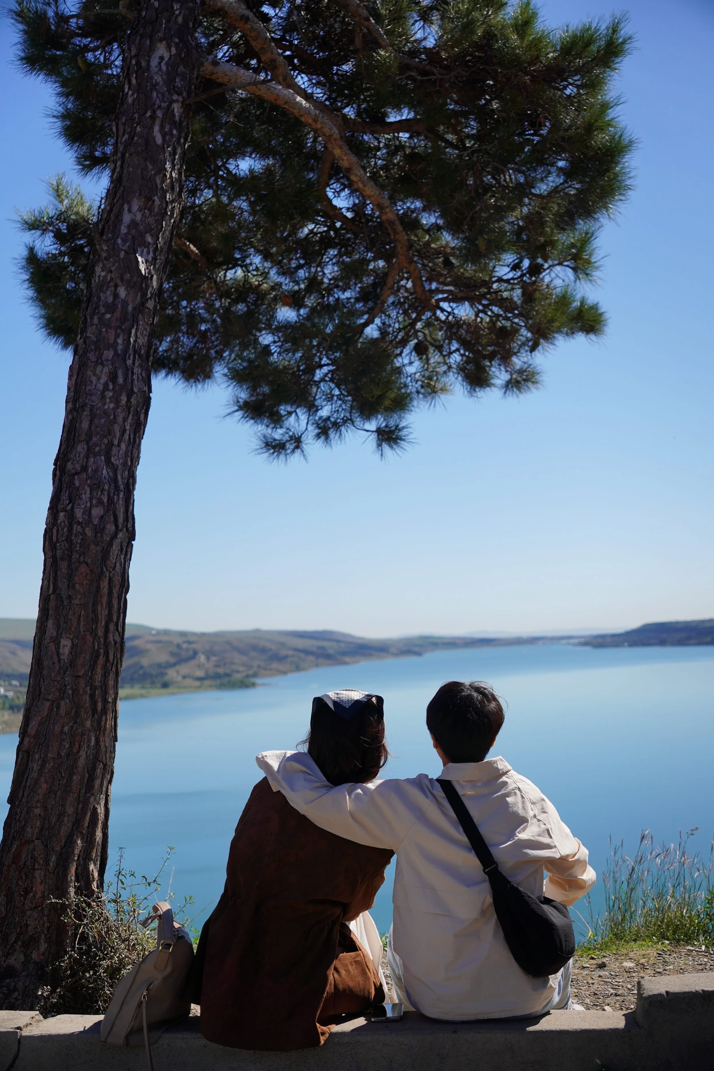 A couple sitting on a ledge by a lake, facing away from the camera, with their arms around each other, under a pine tree on a clear, sunny day.