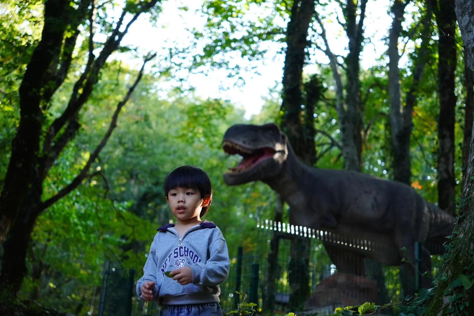 Young boy in gray hoodie standing outdoors near a model Tyrannosaurus rex dinosaur.