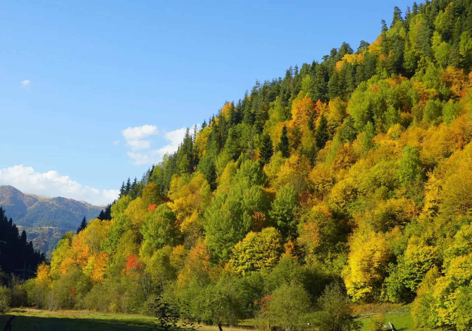 Scenic view of a hillside covered with colorful autumn trees under a clear blue sky with a few scattered clouds.