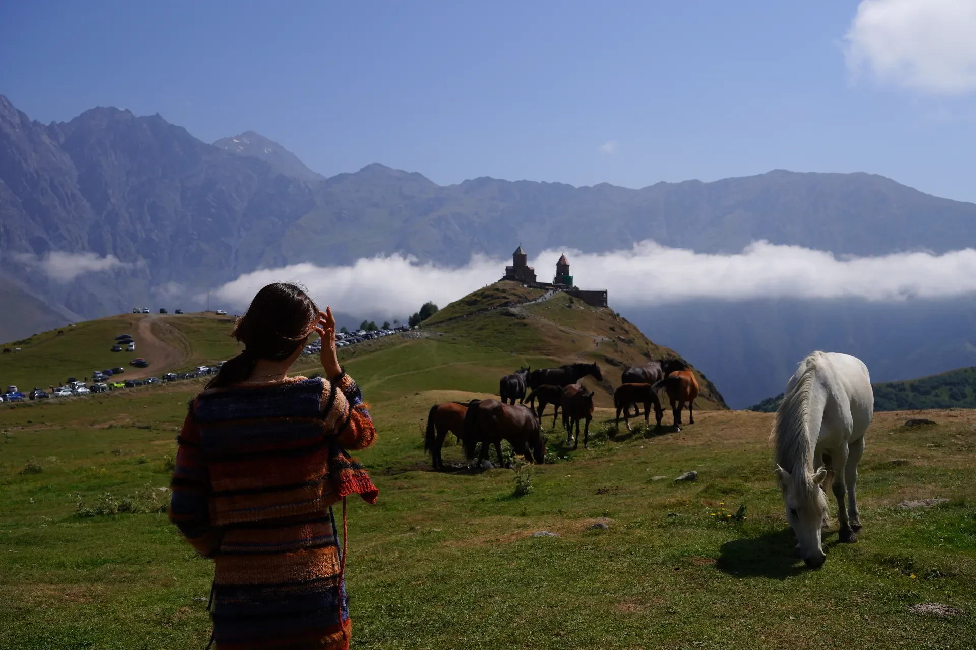 A woman with dark hair standing in a grassy field, looking at a herd of horses grazing near a hilltop castle, with mountains and clouds in the background.
