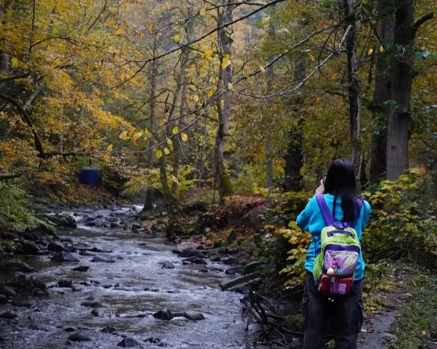 3 Day Borjomi Kutaisi Tour