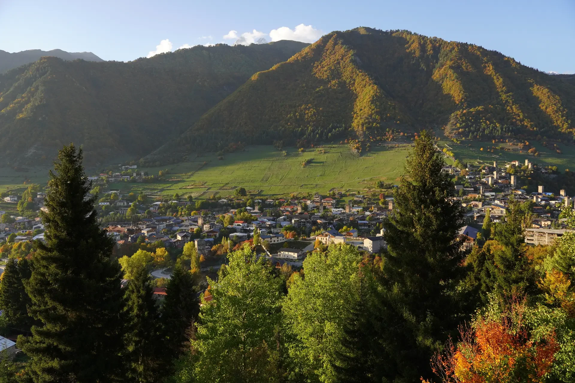 Mountain landscape with forest, hillside town, and green fields