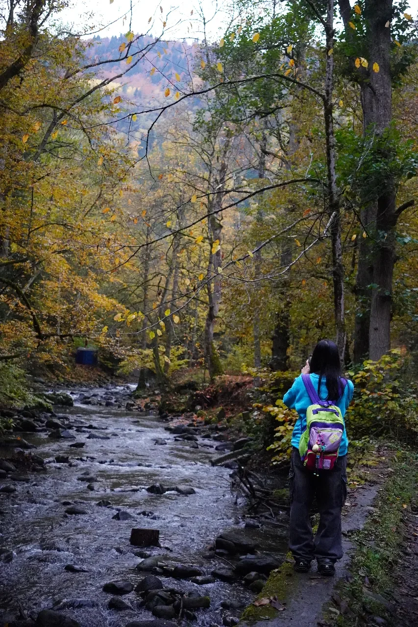 A woman with a backpack standing on a narrow wooded trail next to a flowing creek in a forest with fall foliage.