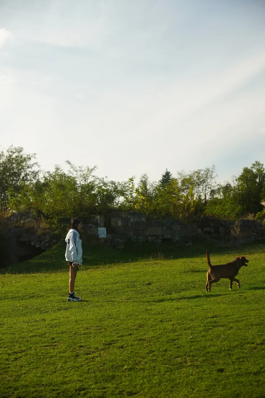 Person in a white jacket and shorts standing on a grassy field with a brown dog running nearby, against a backdrop of trees and a stone wall under a partly cloudy sky.