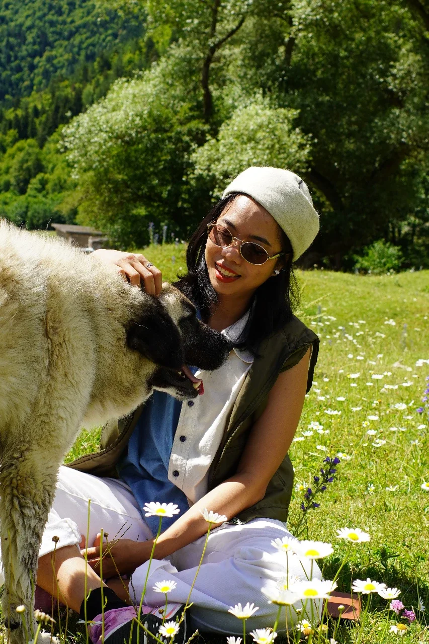 A woman sitting on the grass in a field of daisies, smiling and petting a large dog, with green trees and a hillside in the background.