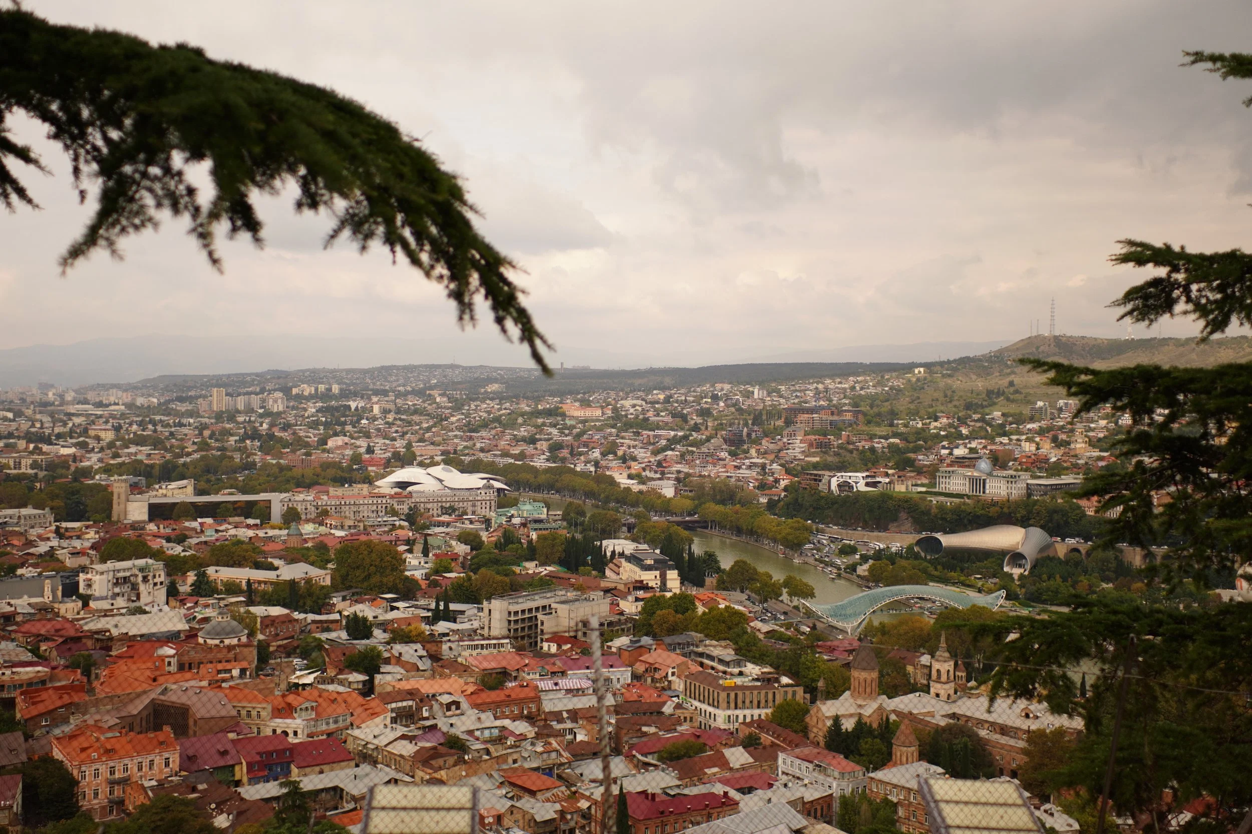 A cityscape view of Tbilisi, Georgia, showcasing historic buildings, modern architecture, a river, and hills in the background, framed by tree branches.