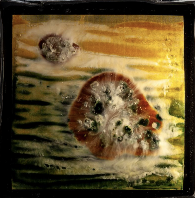 pH Value 20250207(b)