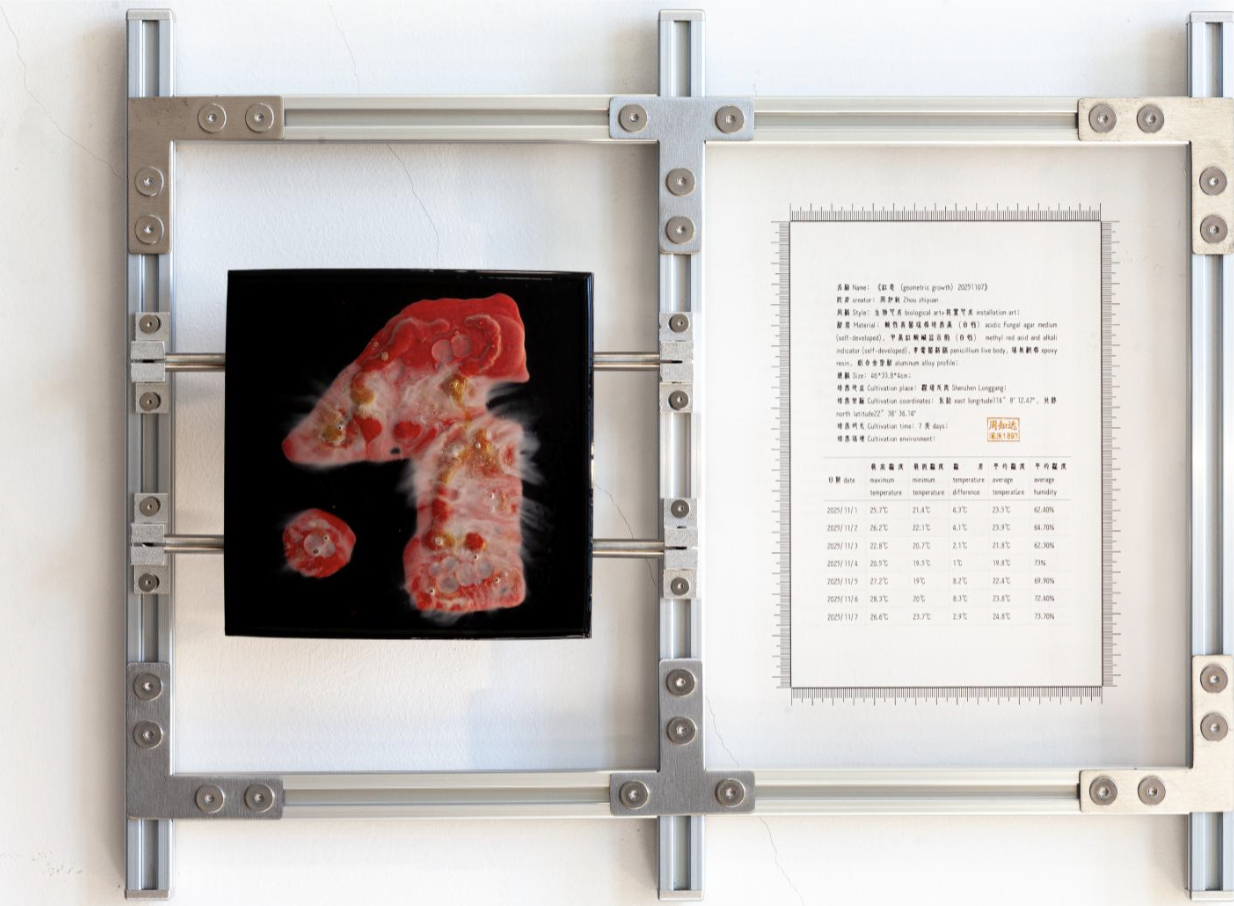 红息20251107｜
Penicillium, Agar Medium, pH Test Strips, Epoxy Resin, Iron Plate｜
46 × 33.8 × 4 cm｜
2025