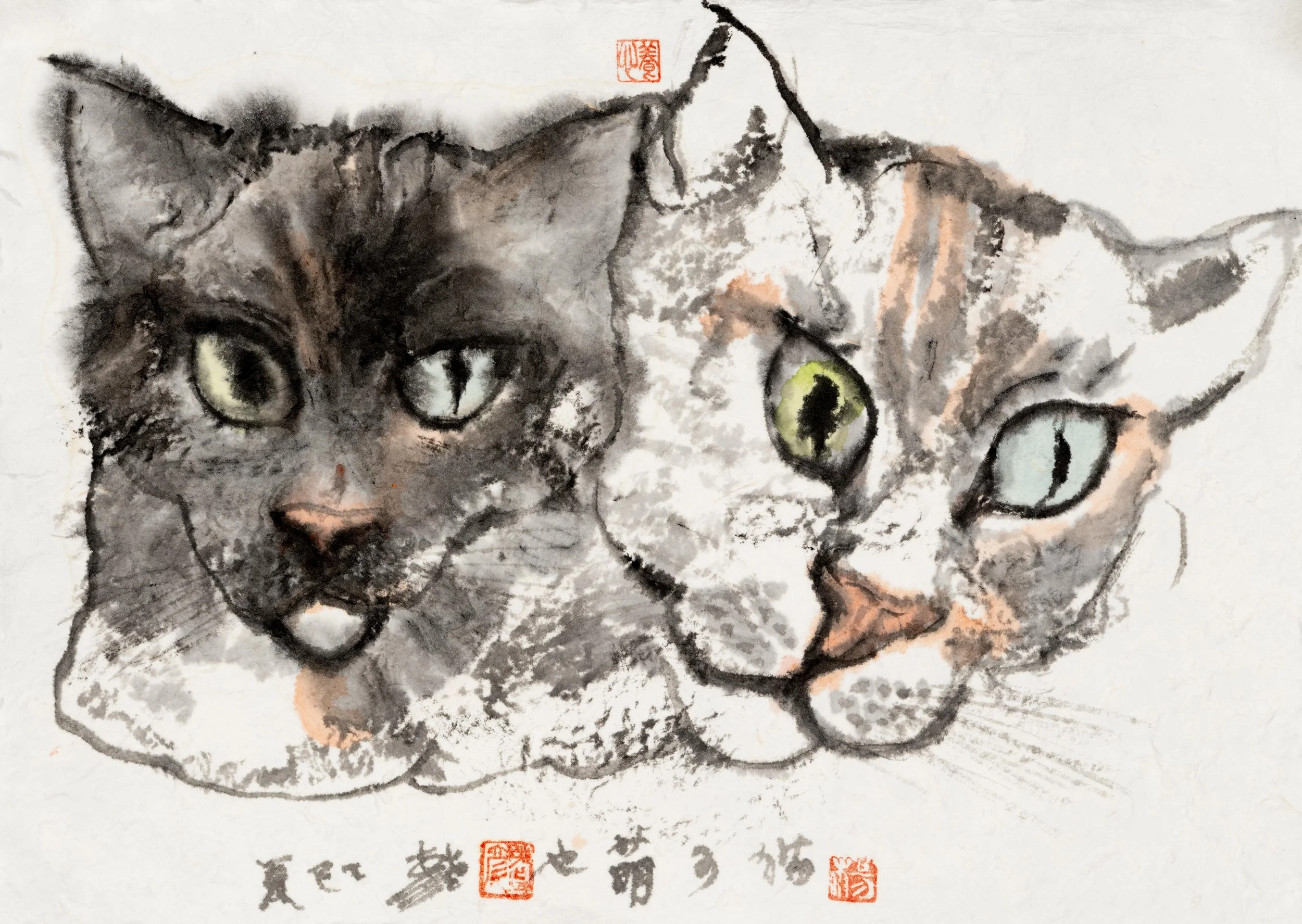 Cats Are Truly Adorable