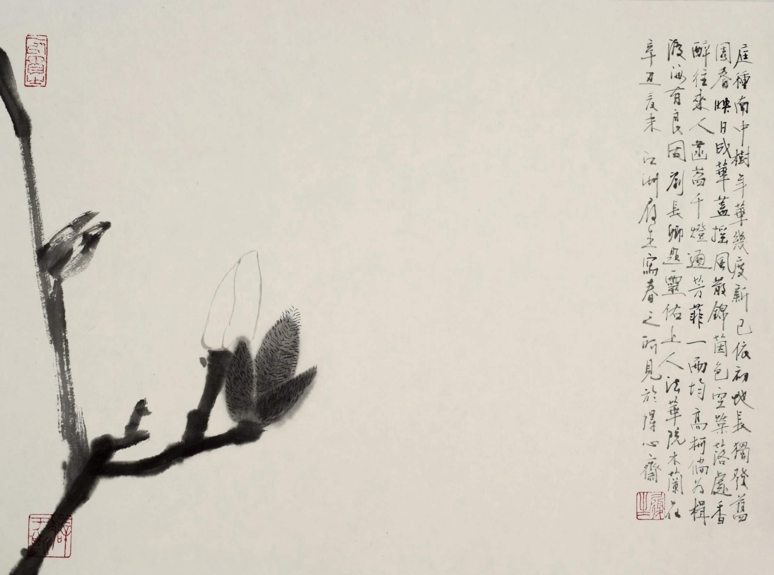 年華幾度新