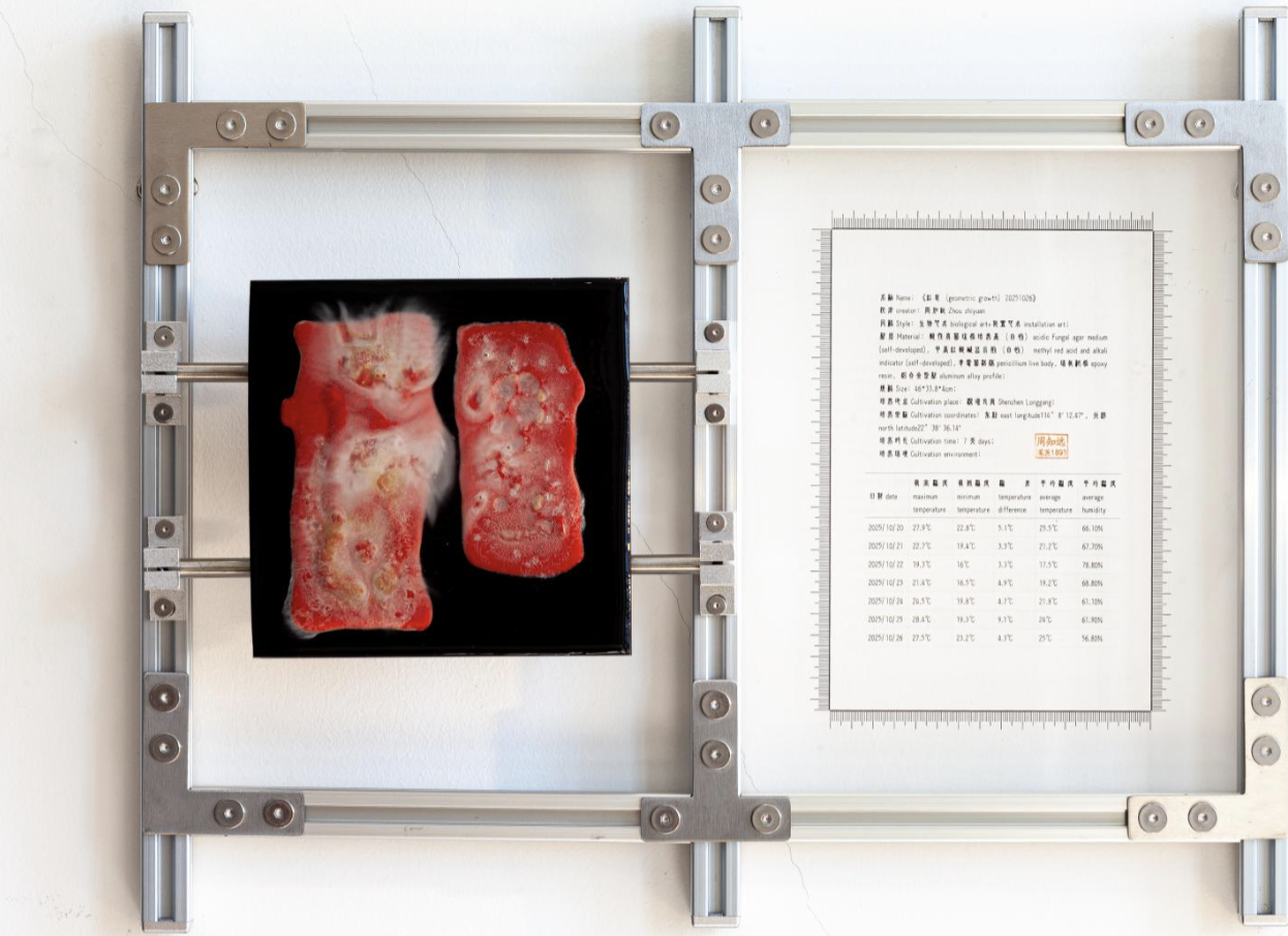 红息20251026｜
Penicillium, Agar Medium, pH Test Strips, Epoxy Resin, Iron Plate｜
46 × 33.8 × 4 cm｜
2025