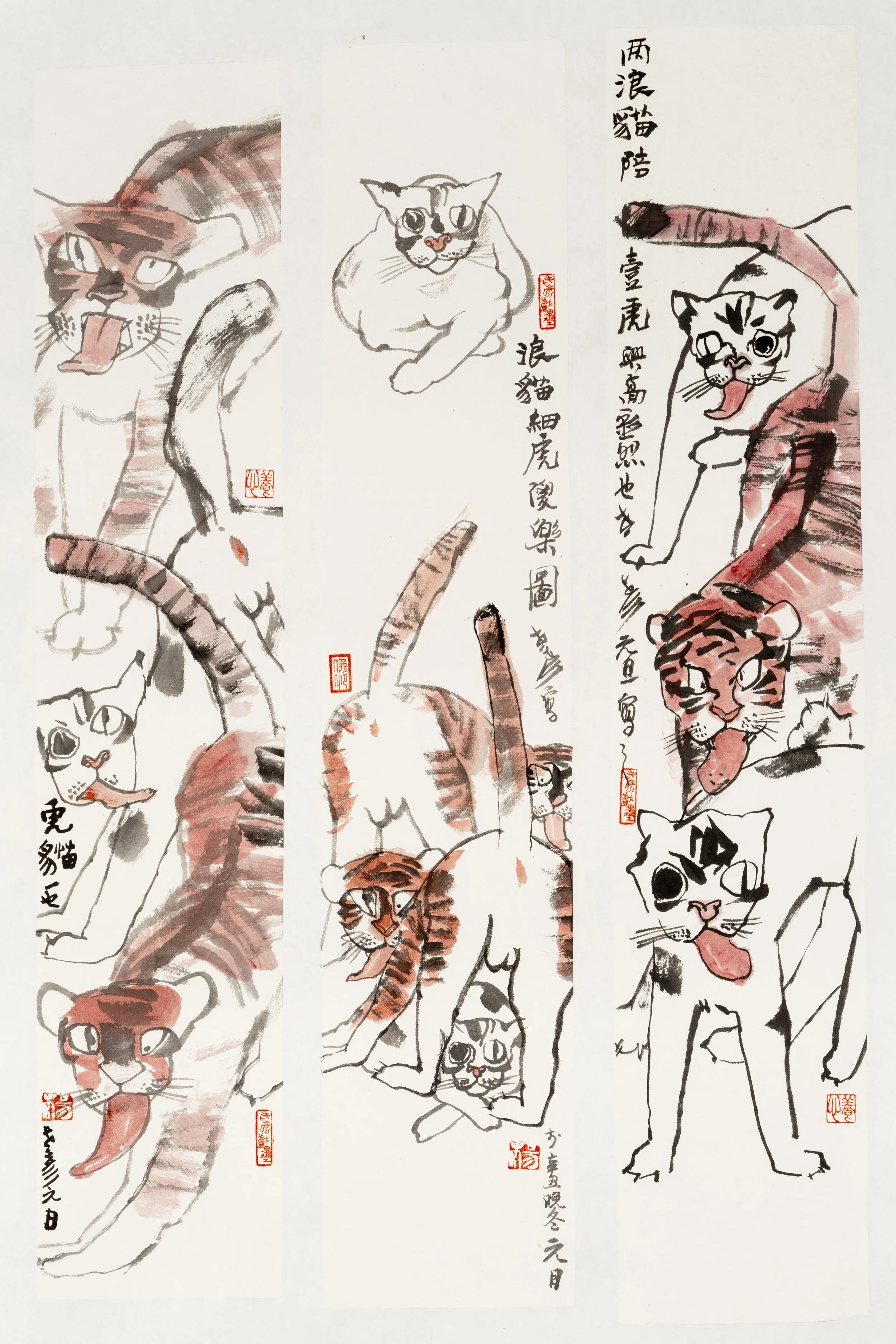 Feral Cat and Little Tiger’s Silly Joy